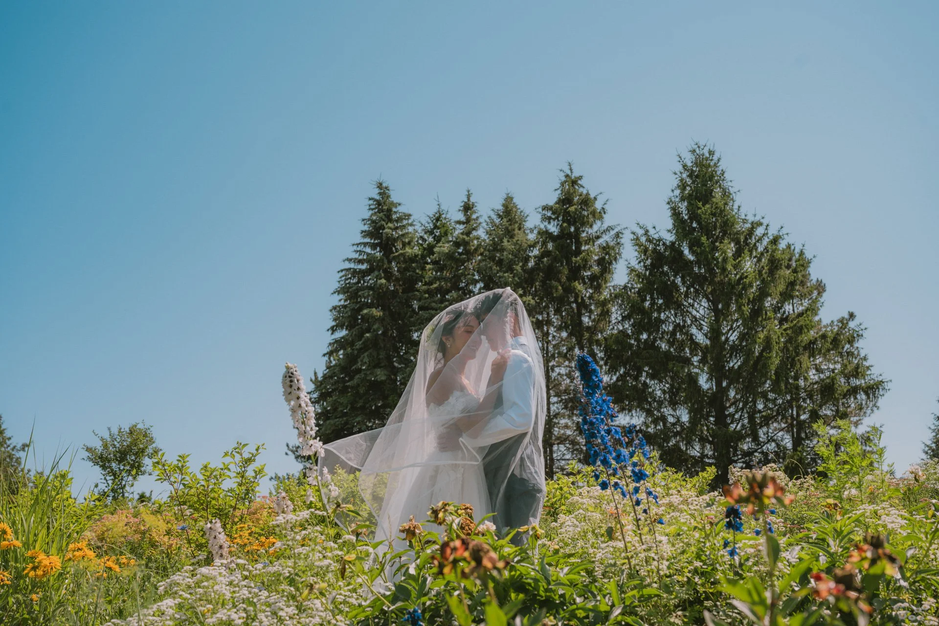 Bride and groom sharing an intimate moment covered by a veil in a field of wildflowers during their farm pre-wedding session.