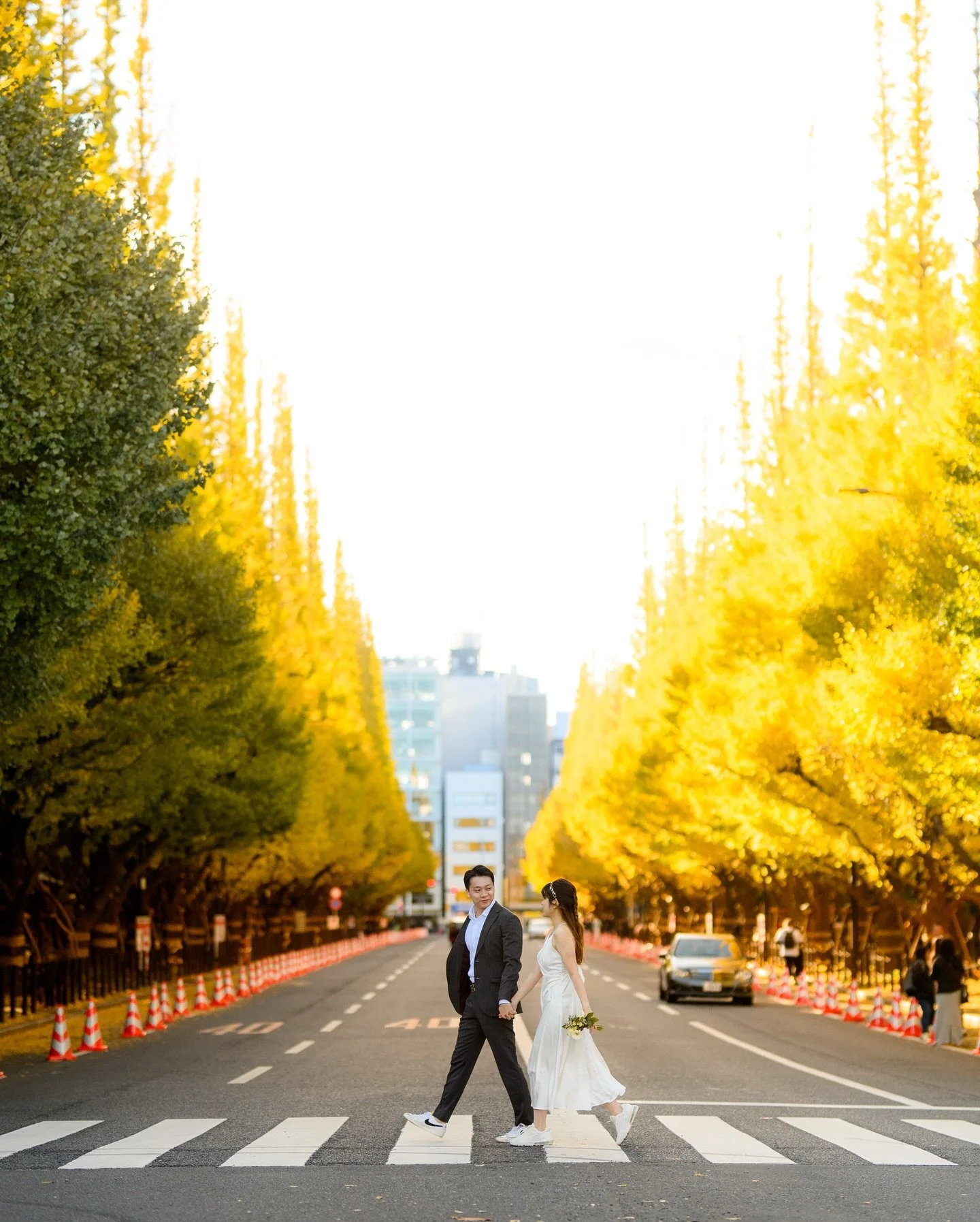明治神宮外苑，銀杏大道
東京的深秋，在深秋的早晨閃閃發光 ，
整條路被染成一片金黃，
牽著手走在陽光灑落的林蔭道上，
彼此的眼神交會中，
彷彿時間也捨不得打擾這場無聲的深情。
在滿滿秋意的背景下格外動人🍁

Meiji Jingu Gaien, Ginkgo Avenue
In the heart of Tokyo&rsquo;s late autumn, the morning light sparkles gently,
casting a golden hue over the enti