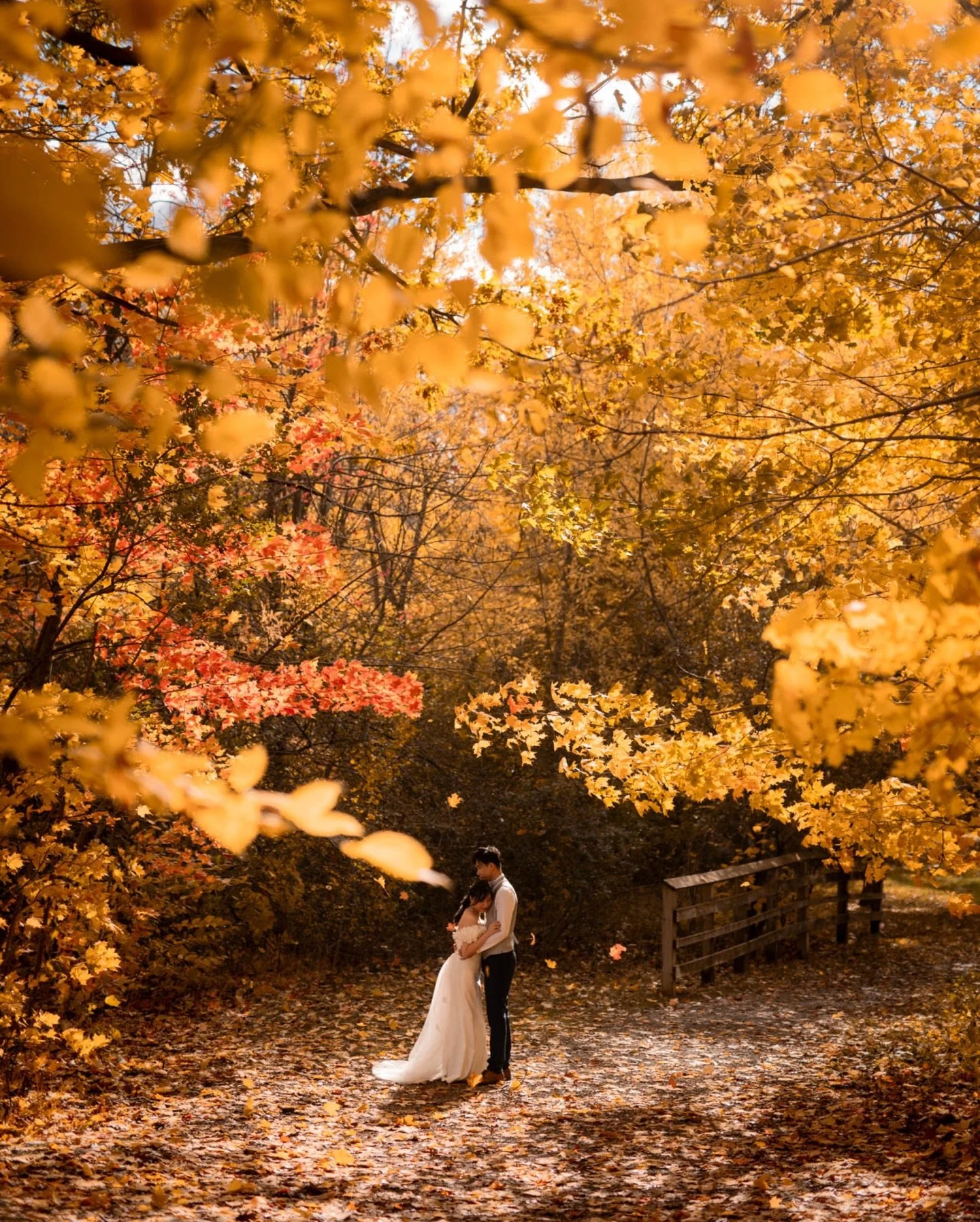 Looking back at this session, we are still obsessed with how the Toronto autumn colors created the perfect &ldquo;tunnel of love&rdquo; for these two. There is something about the crisp fall air mixed with such warm, genuine intimacy.

Congratulation