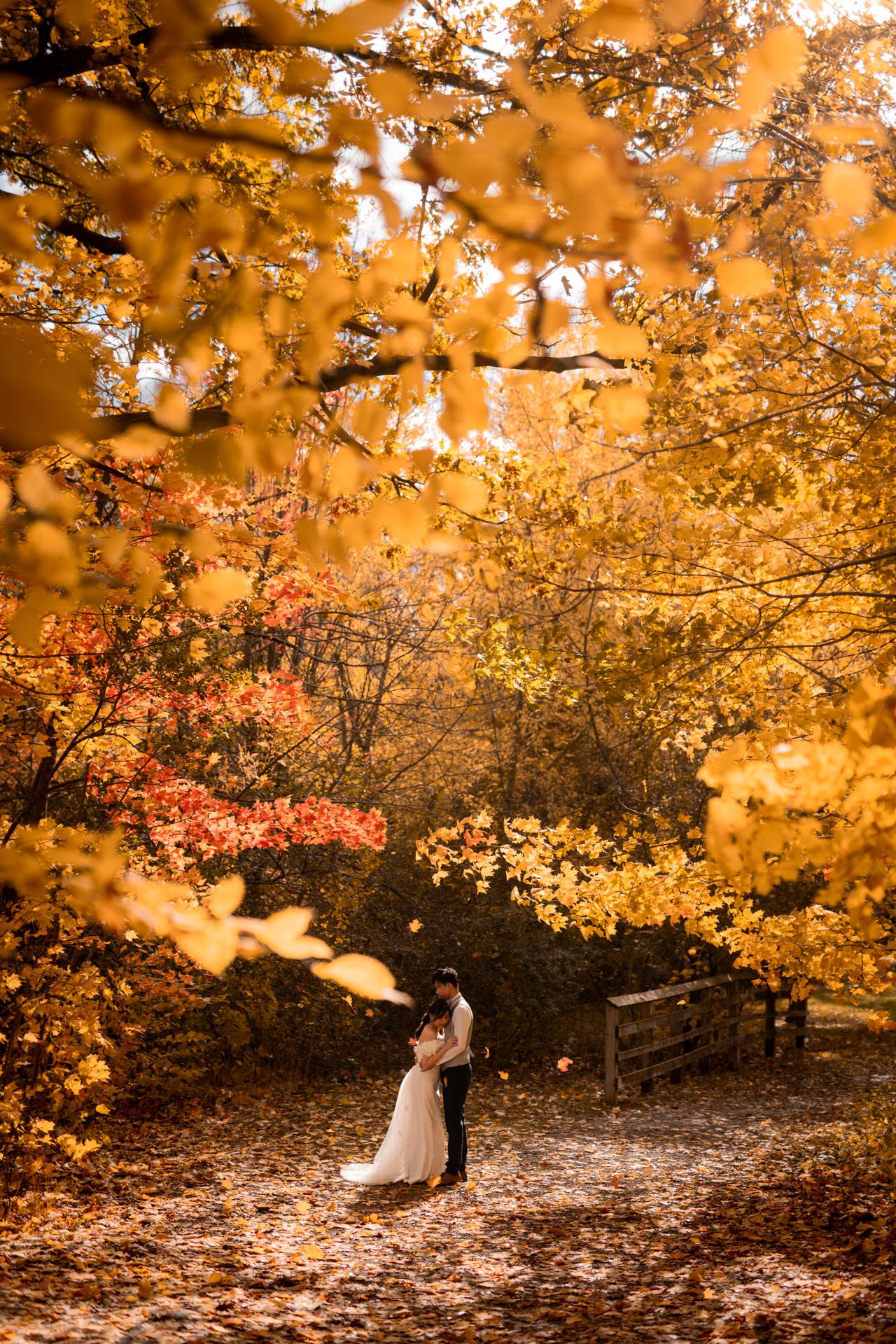 Wide shot of couple under the canopy of trees