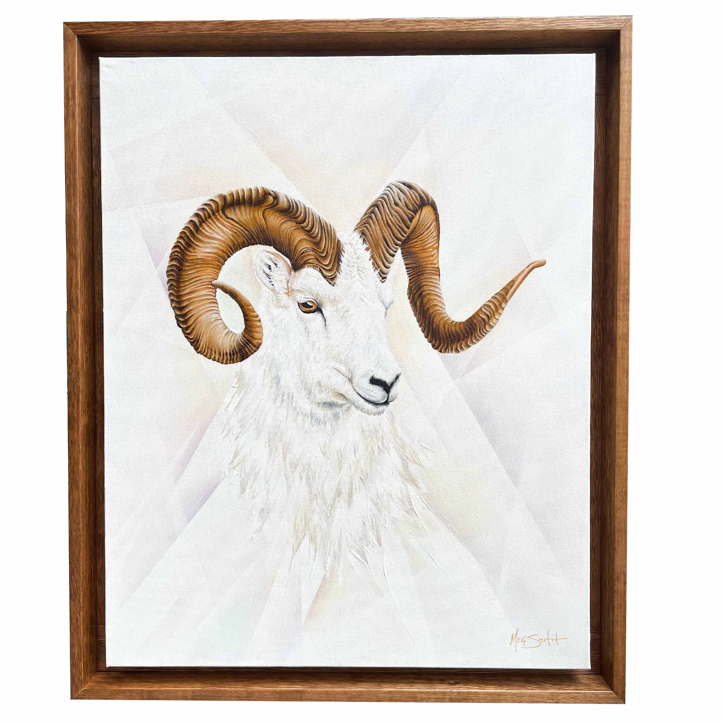dall sheep-screen.jpg