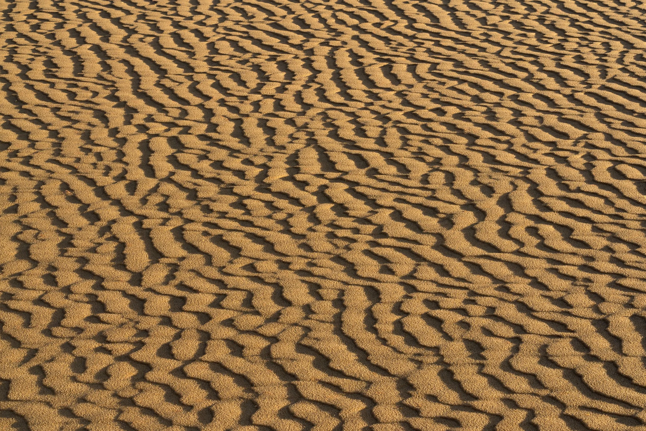 Sandscape 11