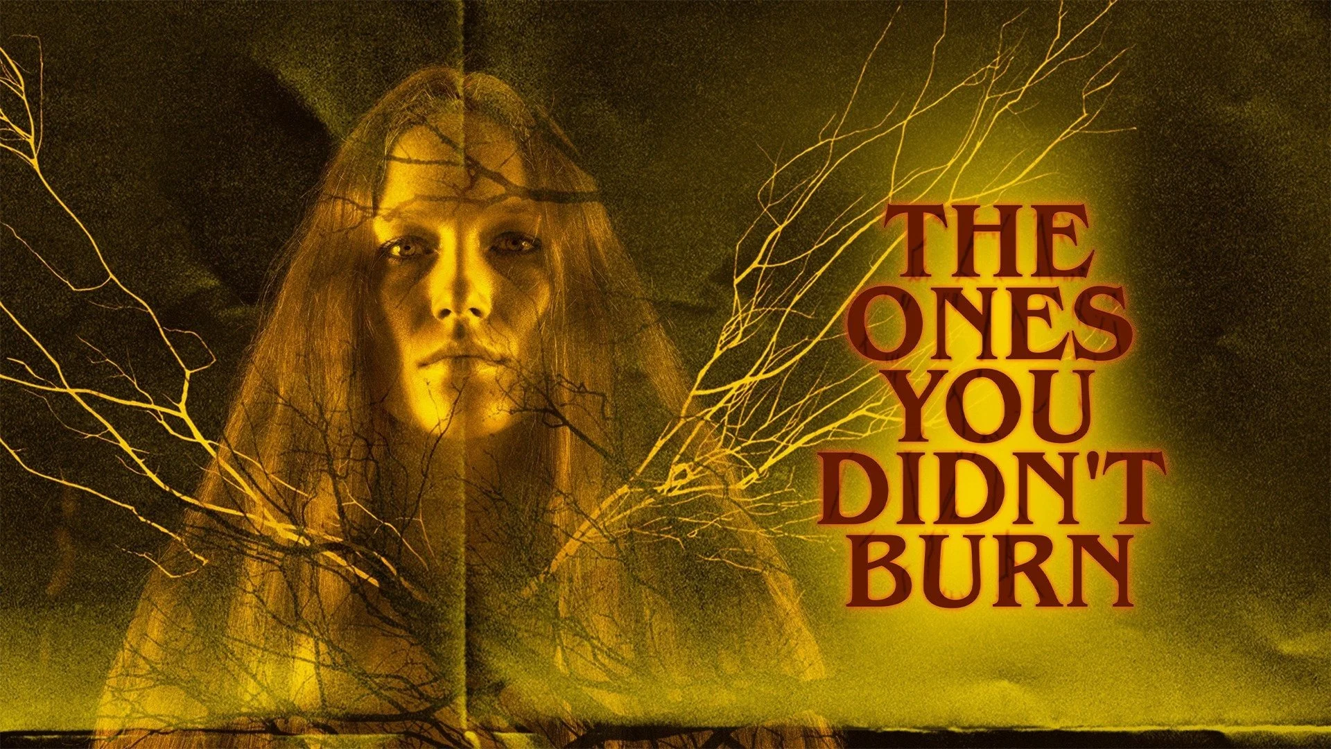 The Ones You Didn’t Burn (CFF) Burns Slowly Until the Bitter End