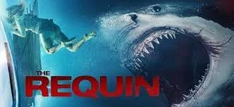 The Requin (2022) Is Shark Horror with No Bite