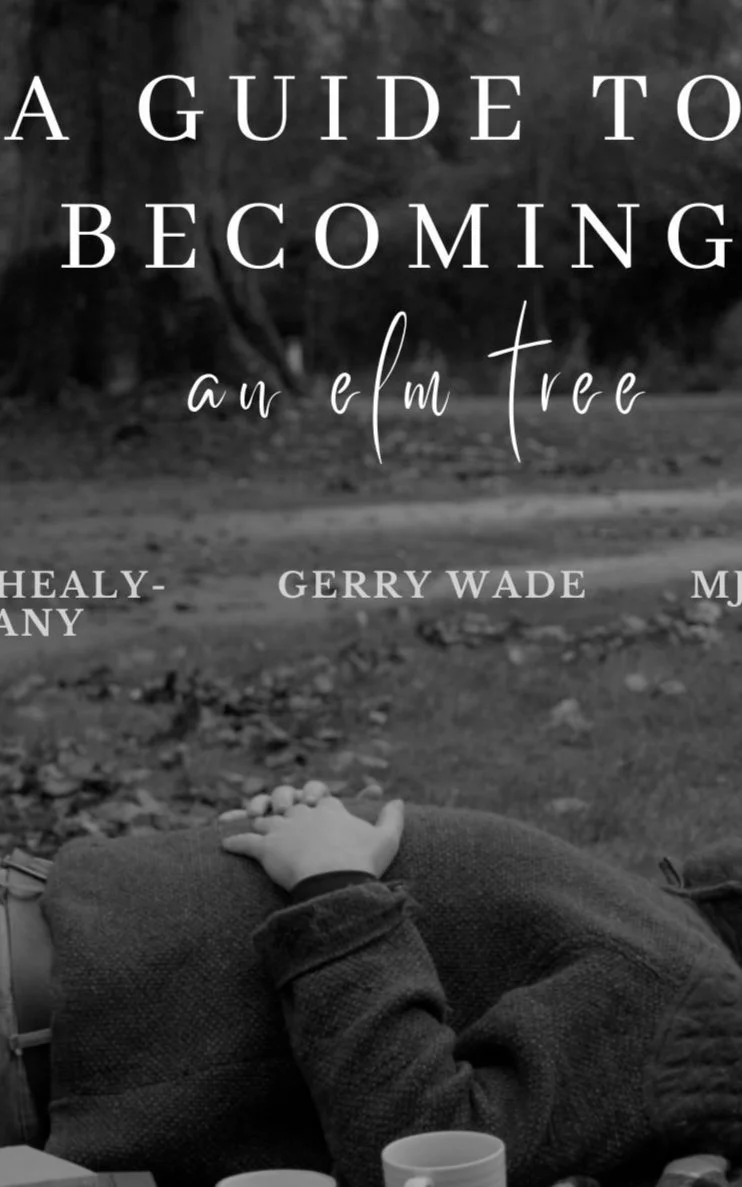 A Guide to Becoming an Elm Tree (CFF) is Soft, Sad, and Slow