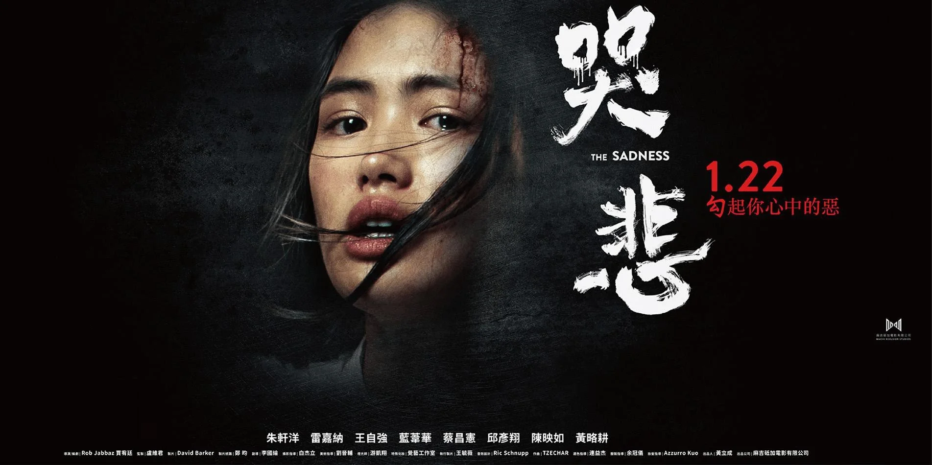 The Sadness (FANTASTIC) is the Scariest Horror Film I’ll Never Recommend