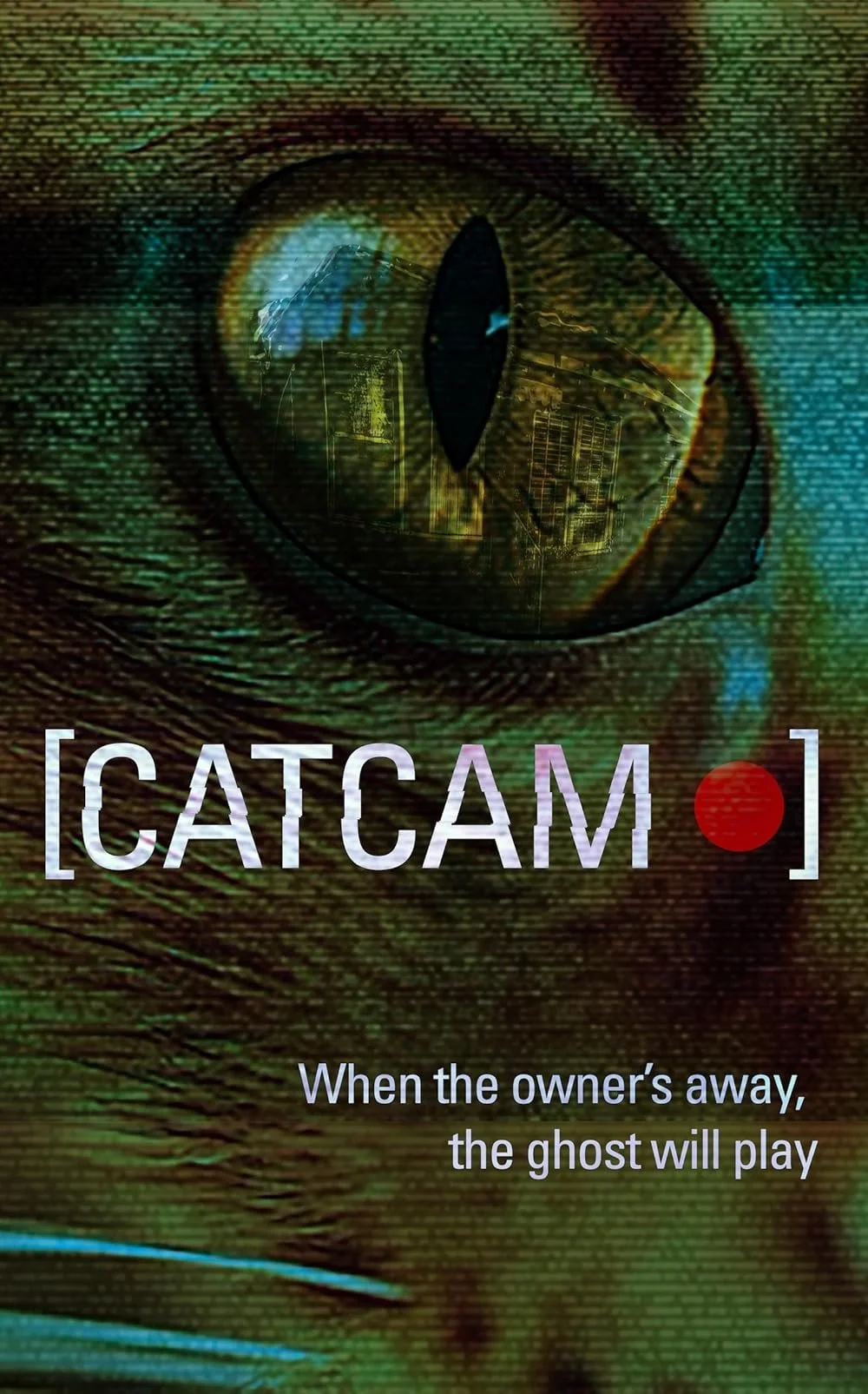 I Saw the Cat Cam (PANIC) Meow in Dull Found Footage Flick