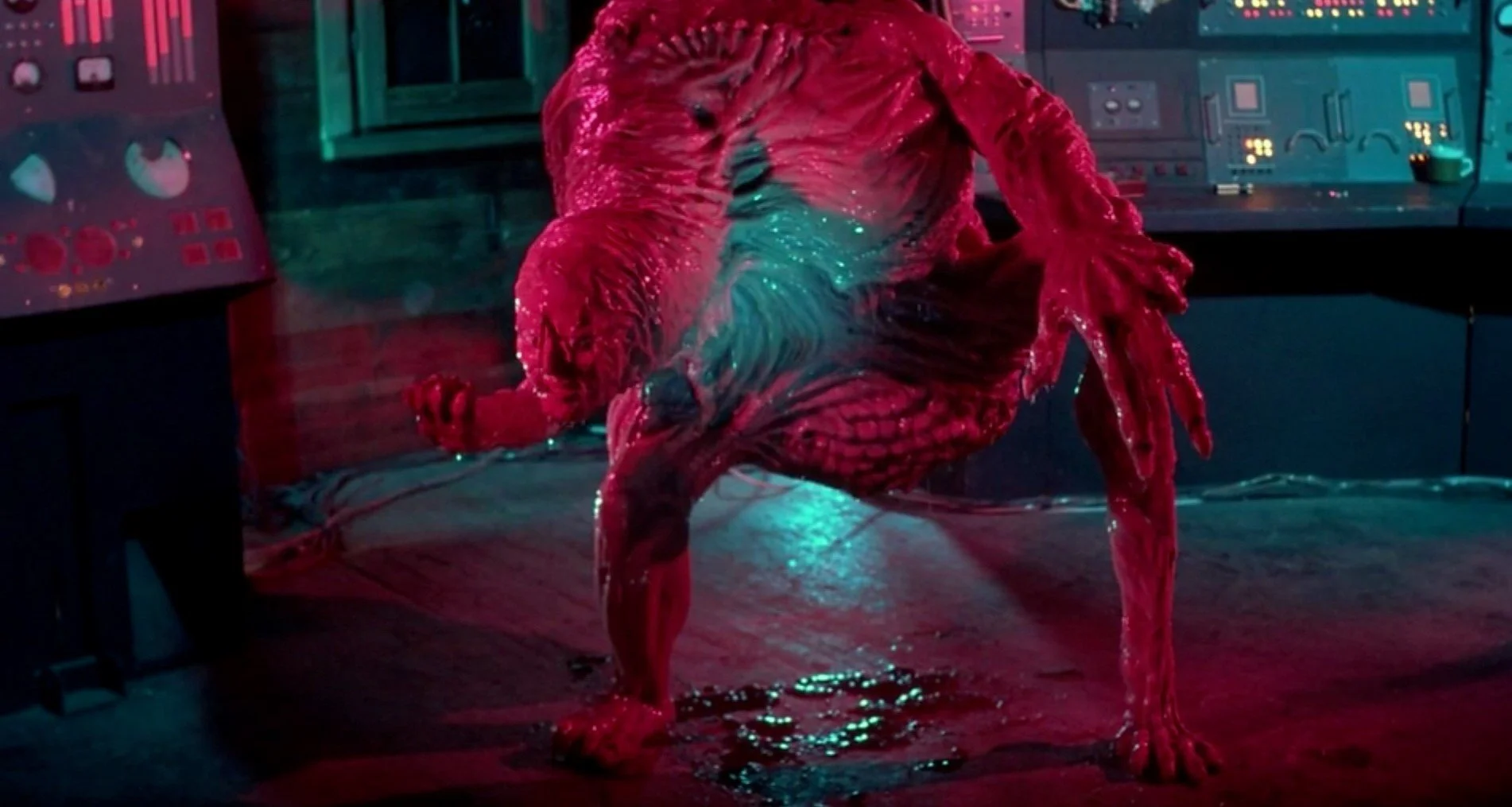 February 2021 Review: The Best Movies I Saw Last Month