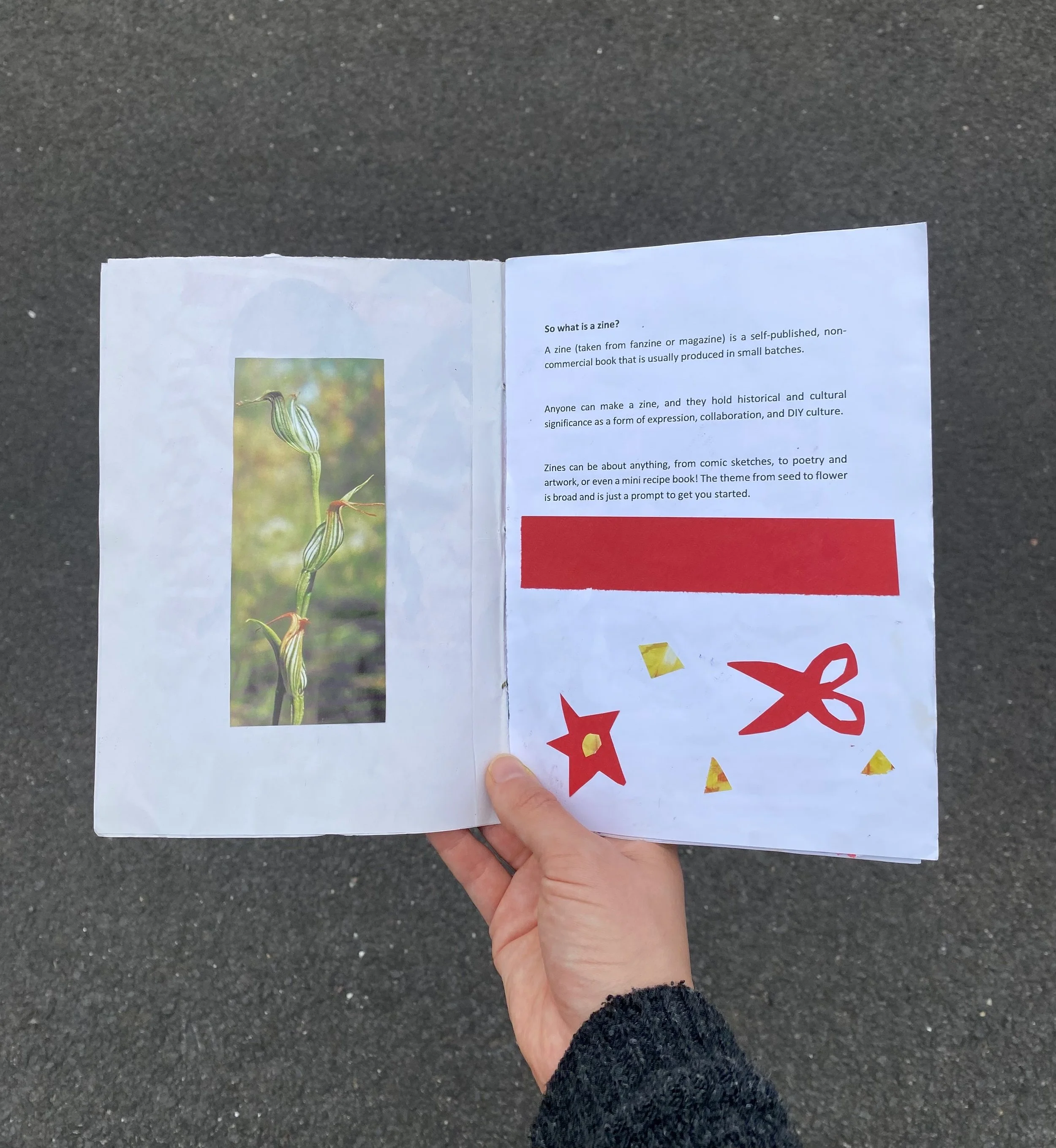 Zine guidebook intro.jpeg