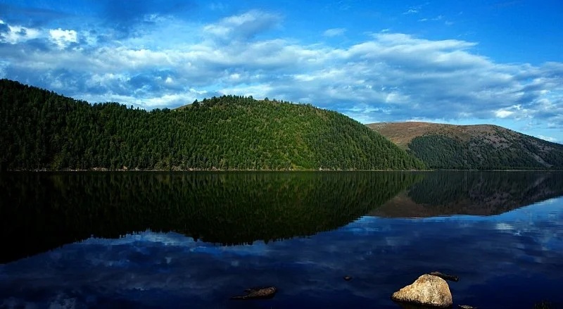 11886144_10153087104172966_7311965131293598024_o - Copy.jpg