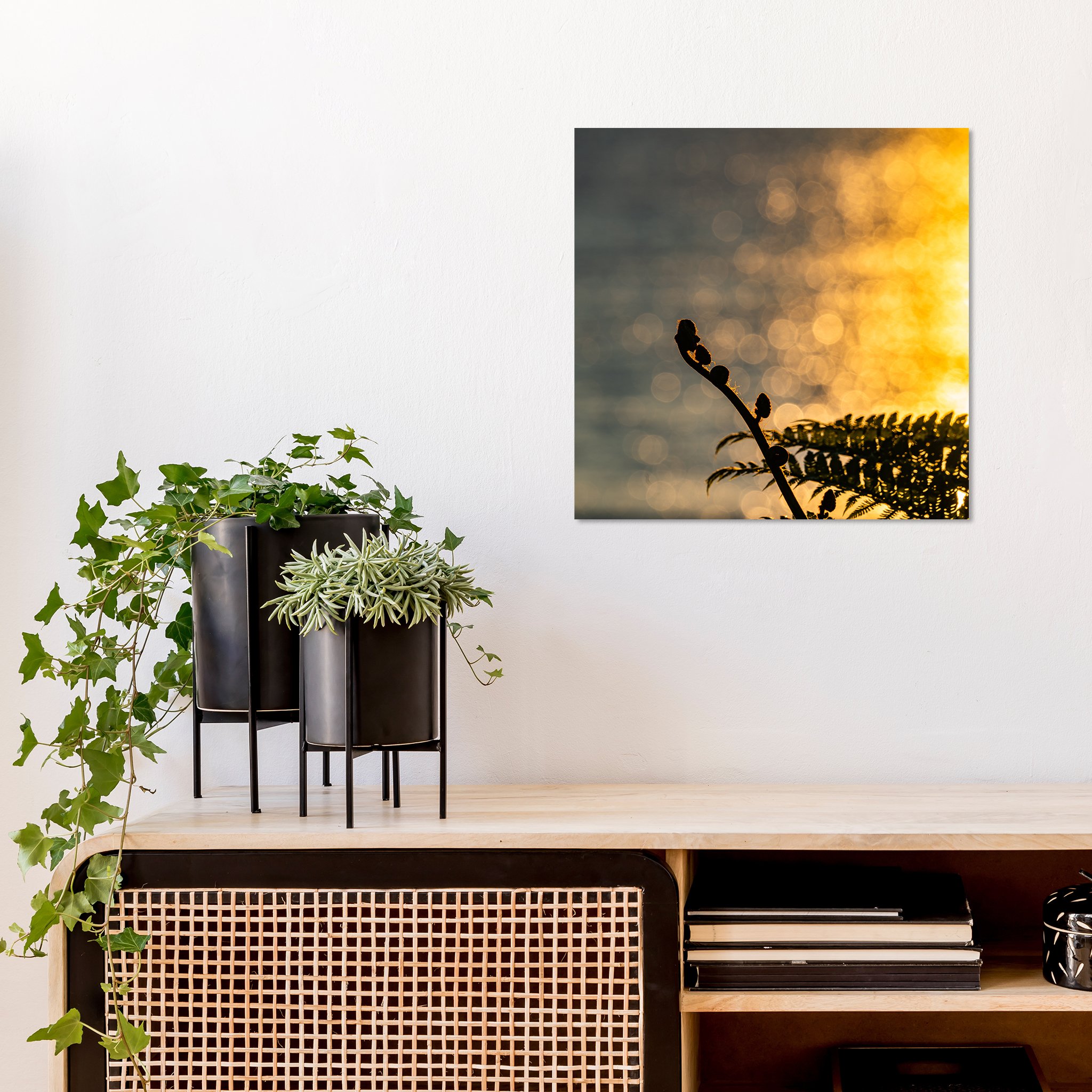 Bokeh_ferns_wall.jpg