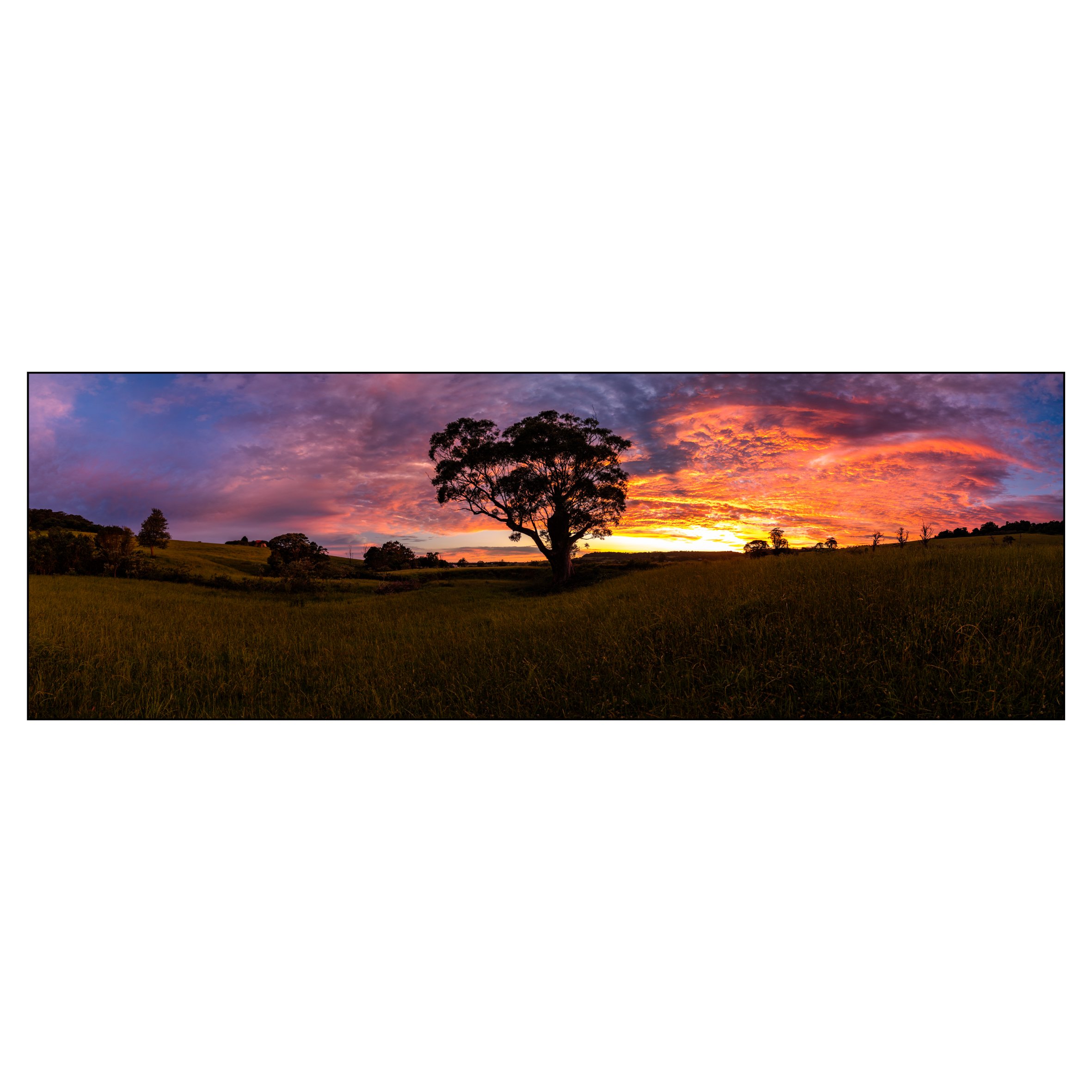 Web square-43.jpg
