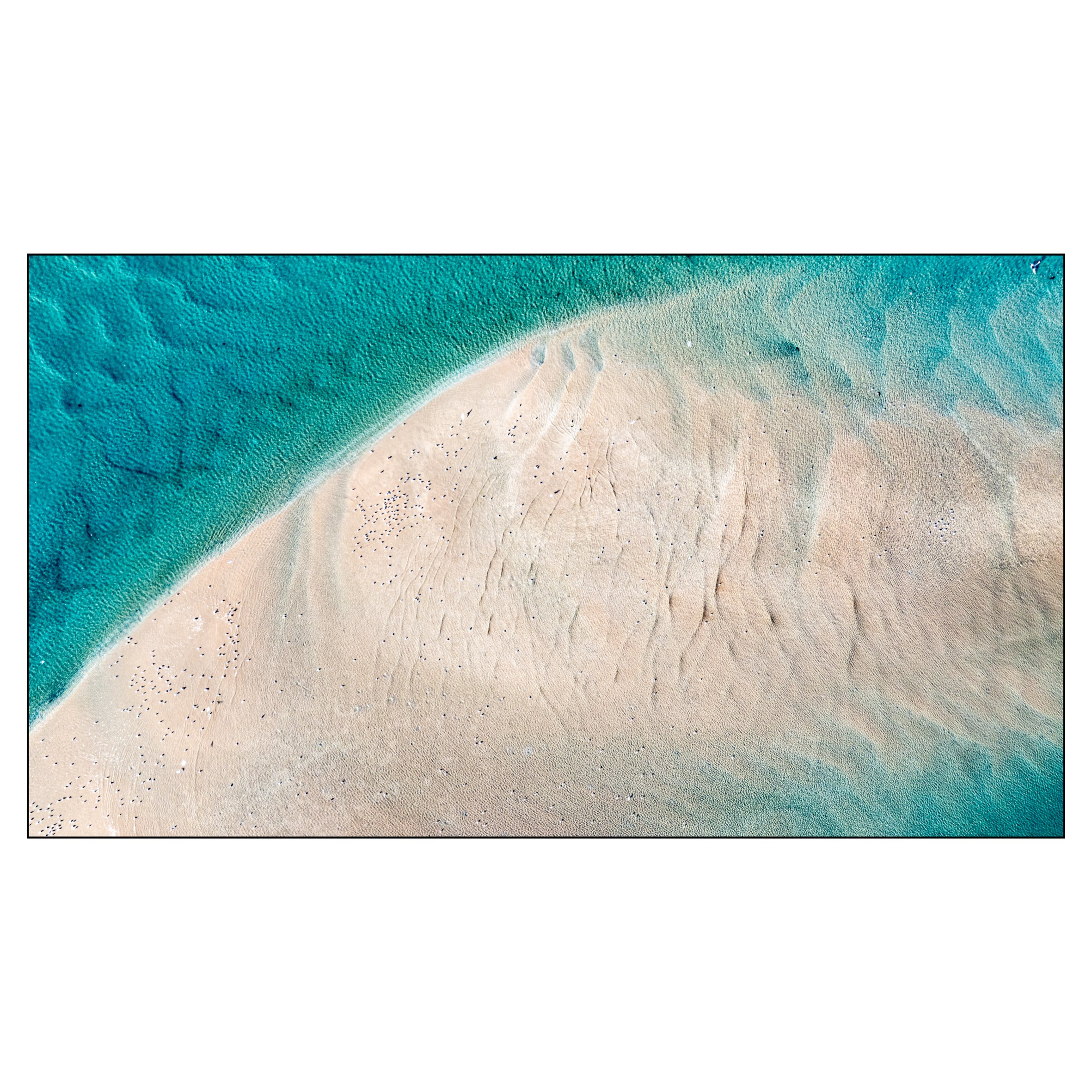 Web square-23.jpg