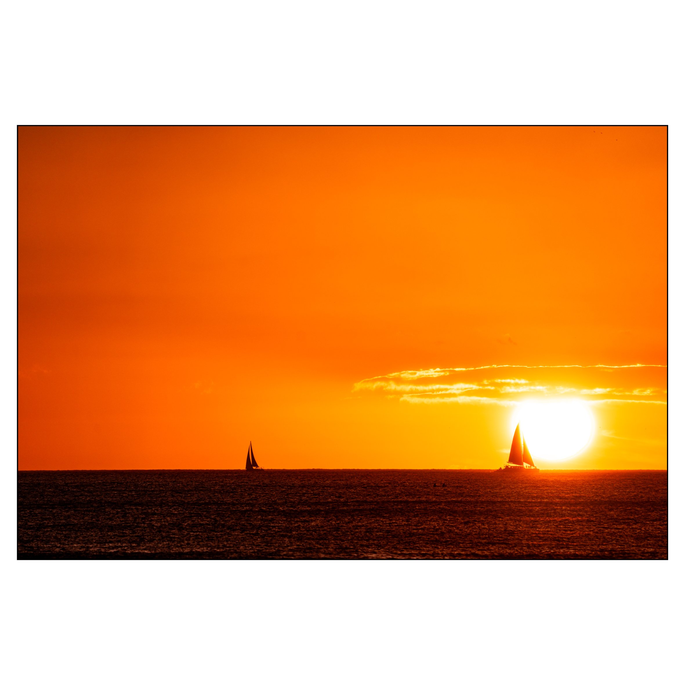 Web square-40.jpg