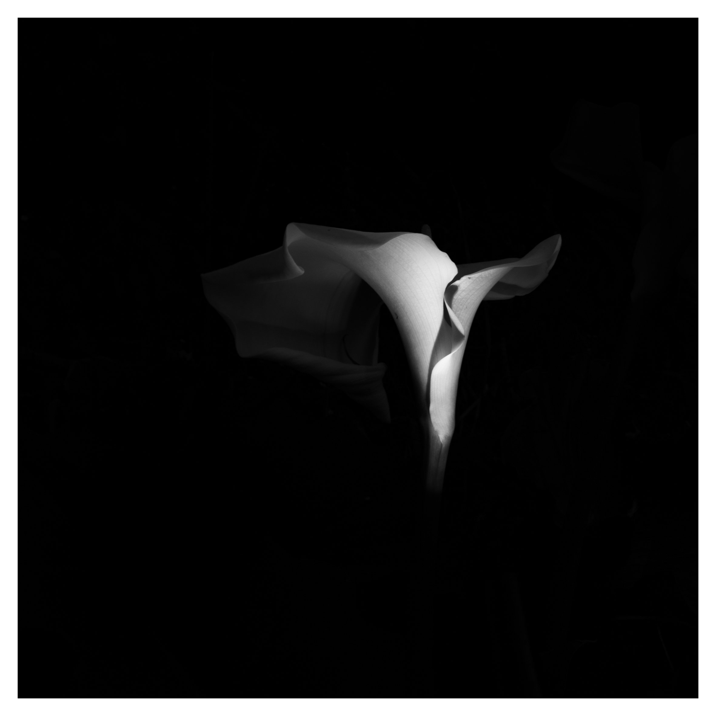 Web square-32.jpg