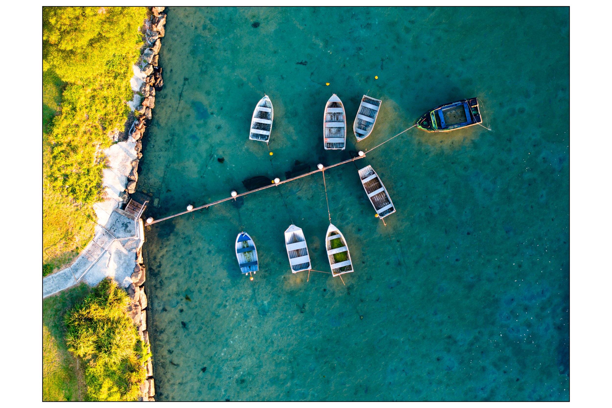 Aqua Array