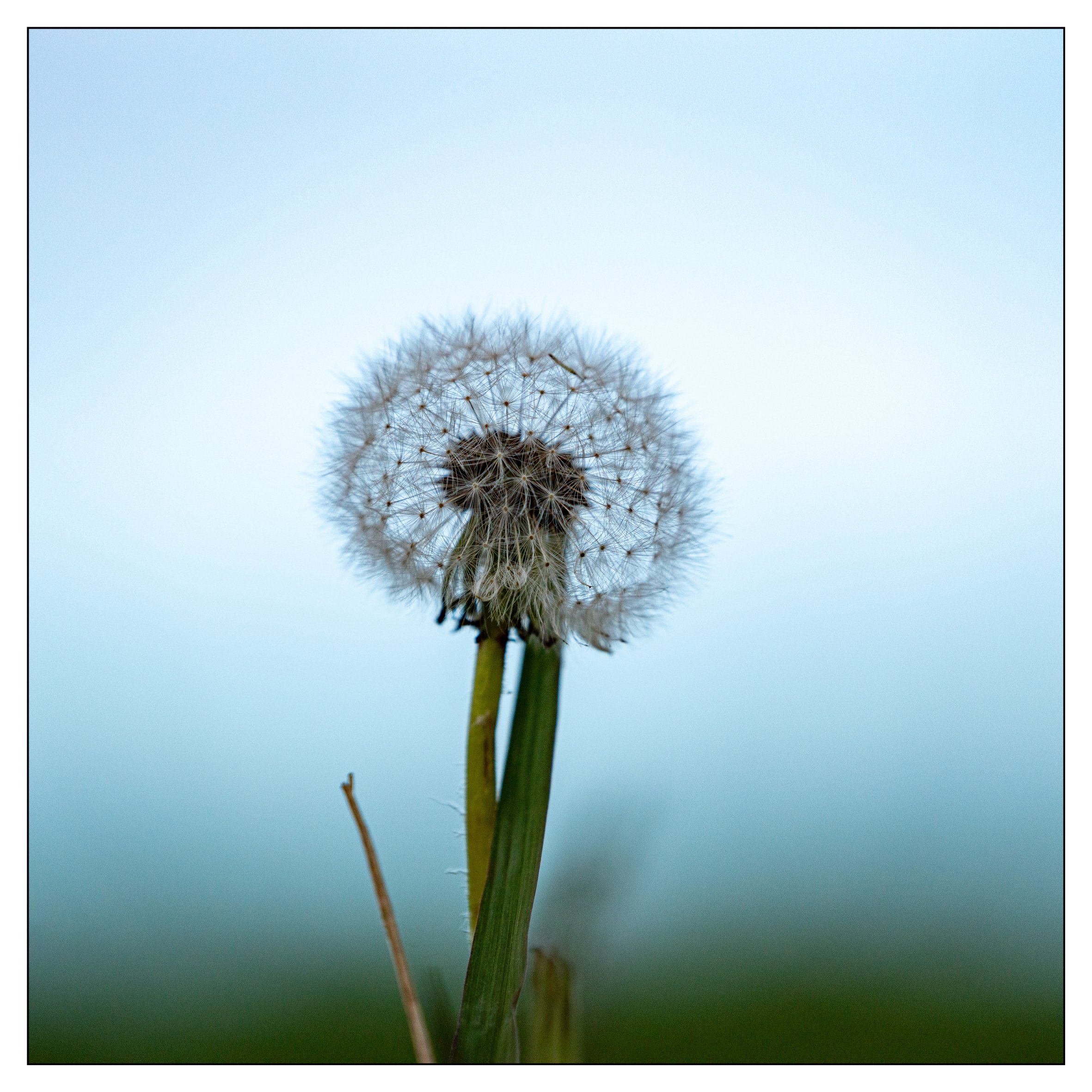 Web square-47.jpg