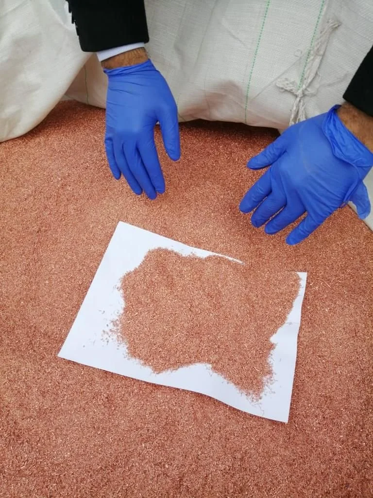 WhatsApp Image 2024-09-08 at 9.40.03 AM.jpeg