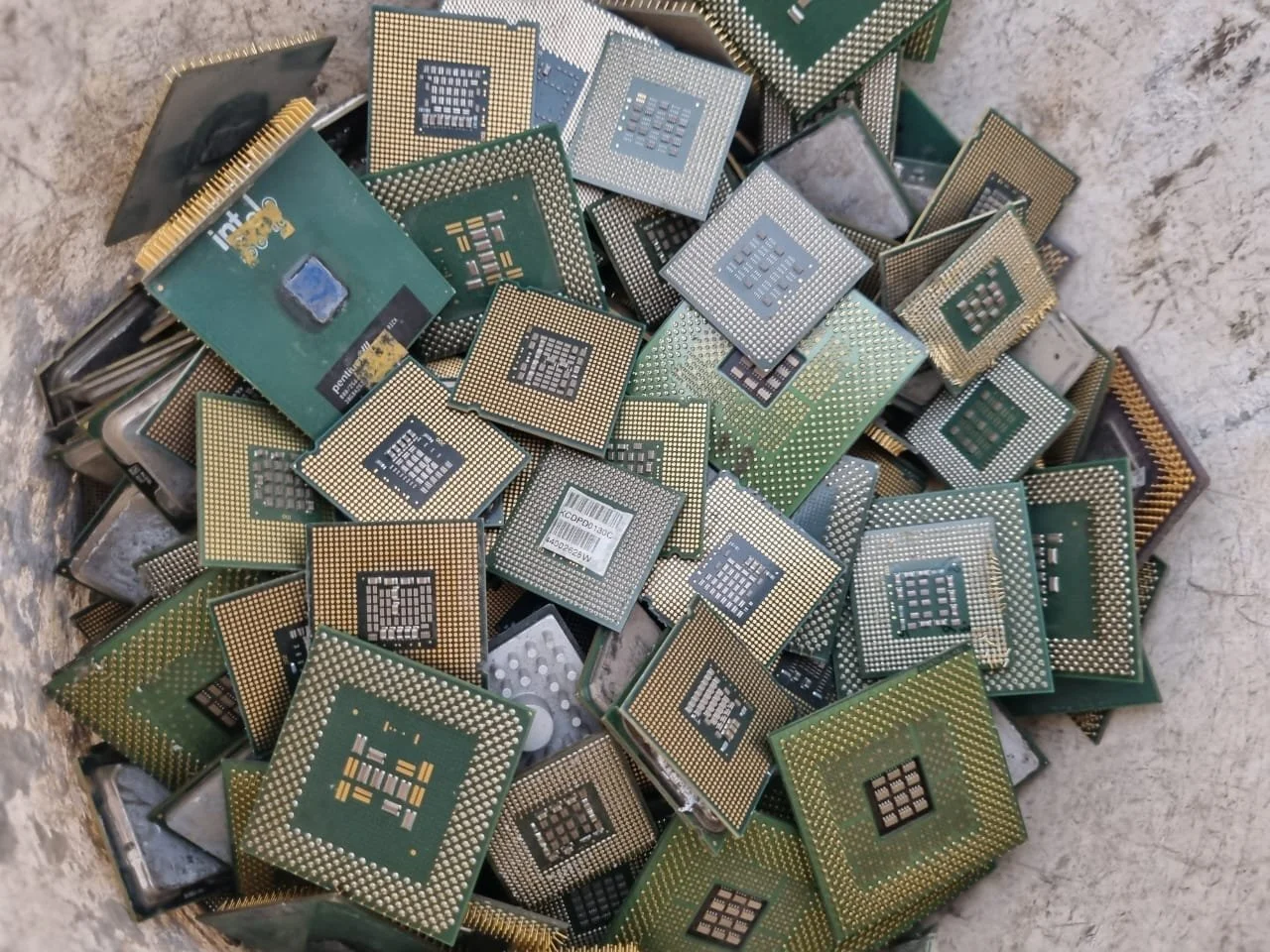 WhatsApp Image 2024-09-09 at 10.58.09 AM.jpeg