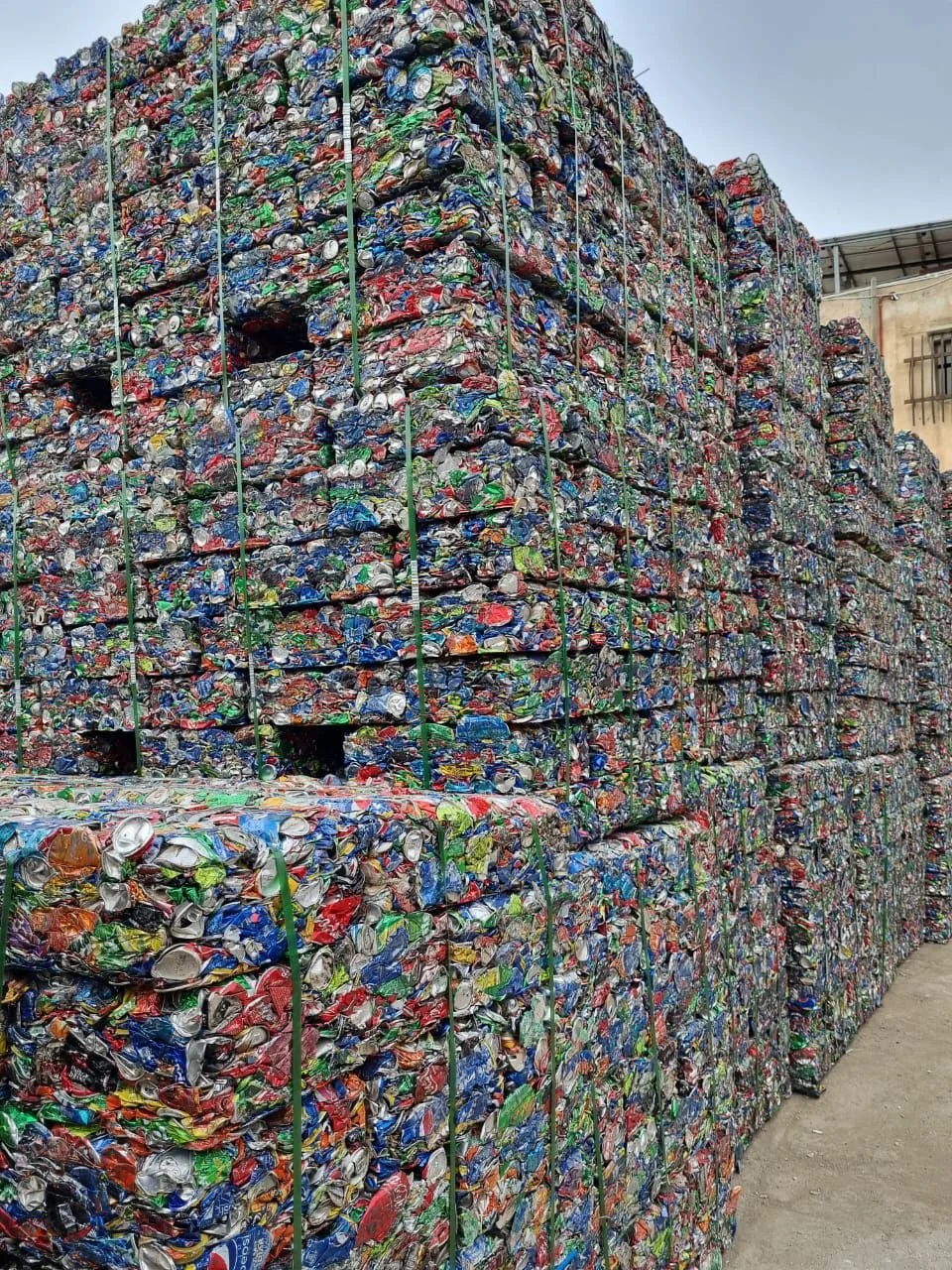 WhatsApp Image 2024-09-08 at 9.39.59 AM (1).jpeg