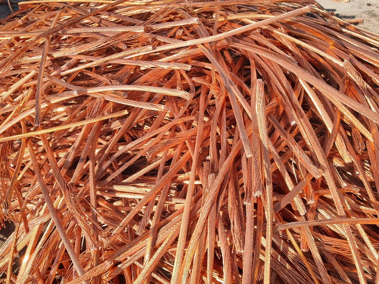 WhatsApp Image 2024-09-08 at 9.39.58 AM.jpeg