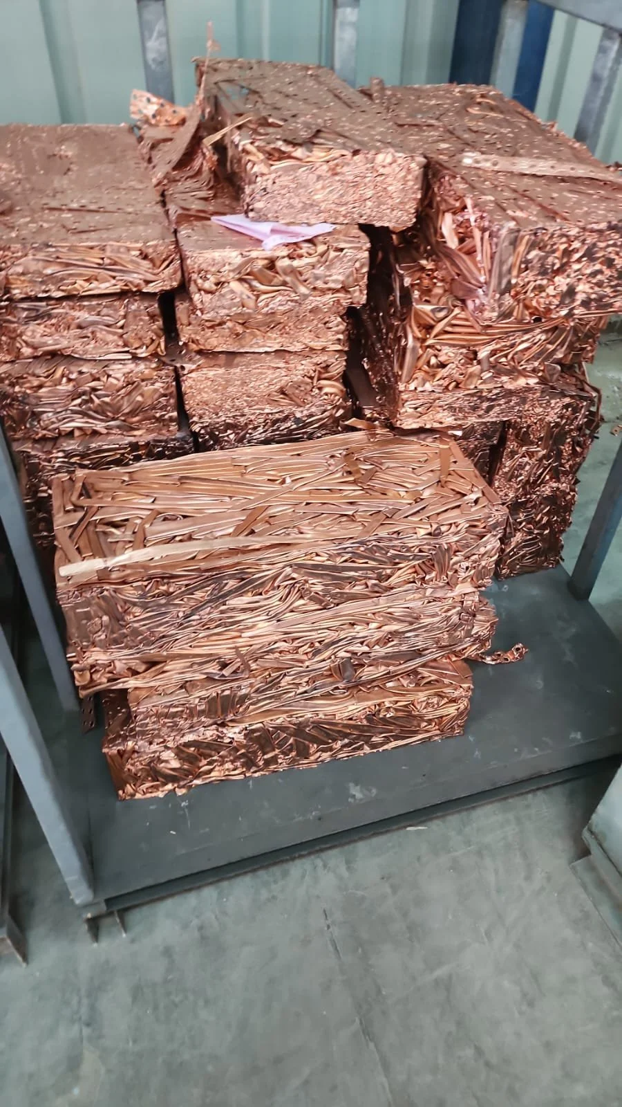 WhatsApp Image 2024-09-09 at 10.46.31 AM.jpeg