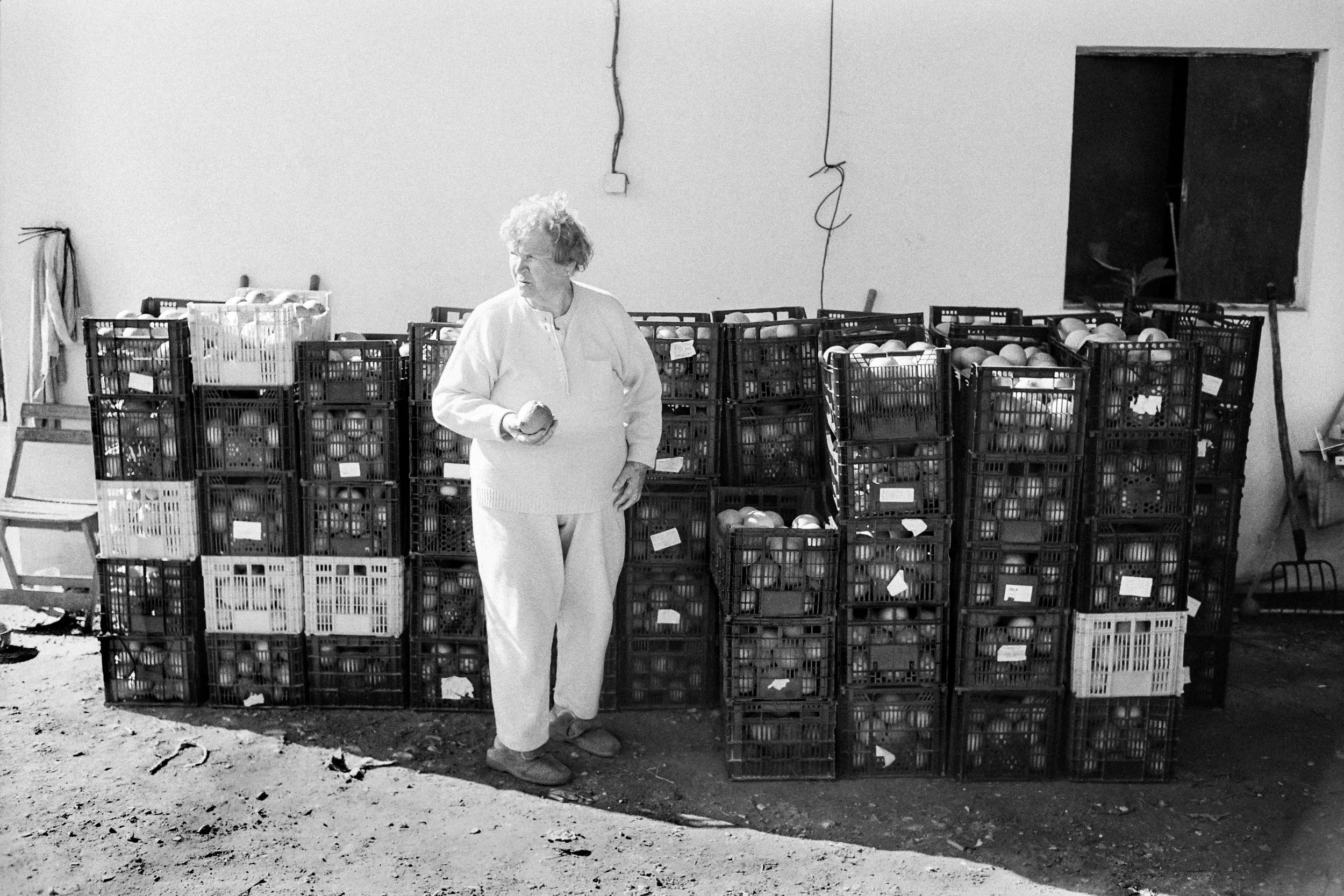 abuela naranjas no bordes 4.jpg