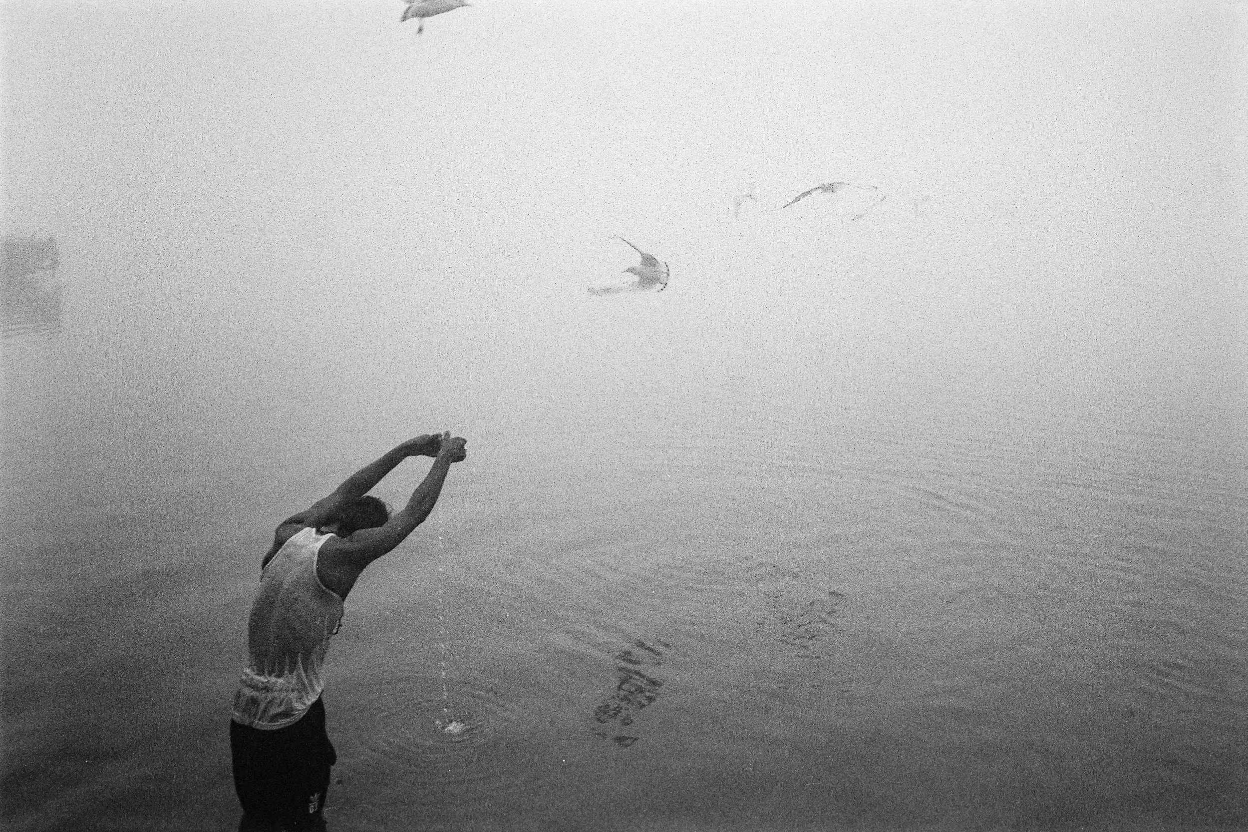 Transmission (Ongoing)