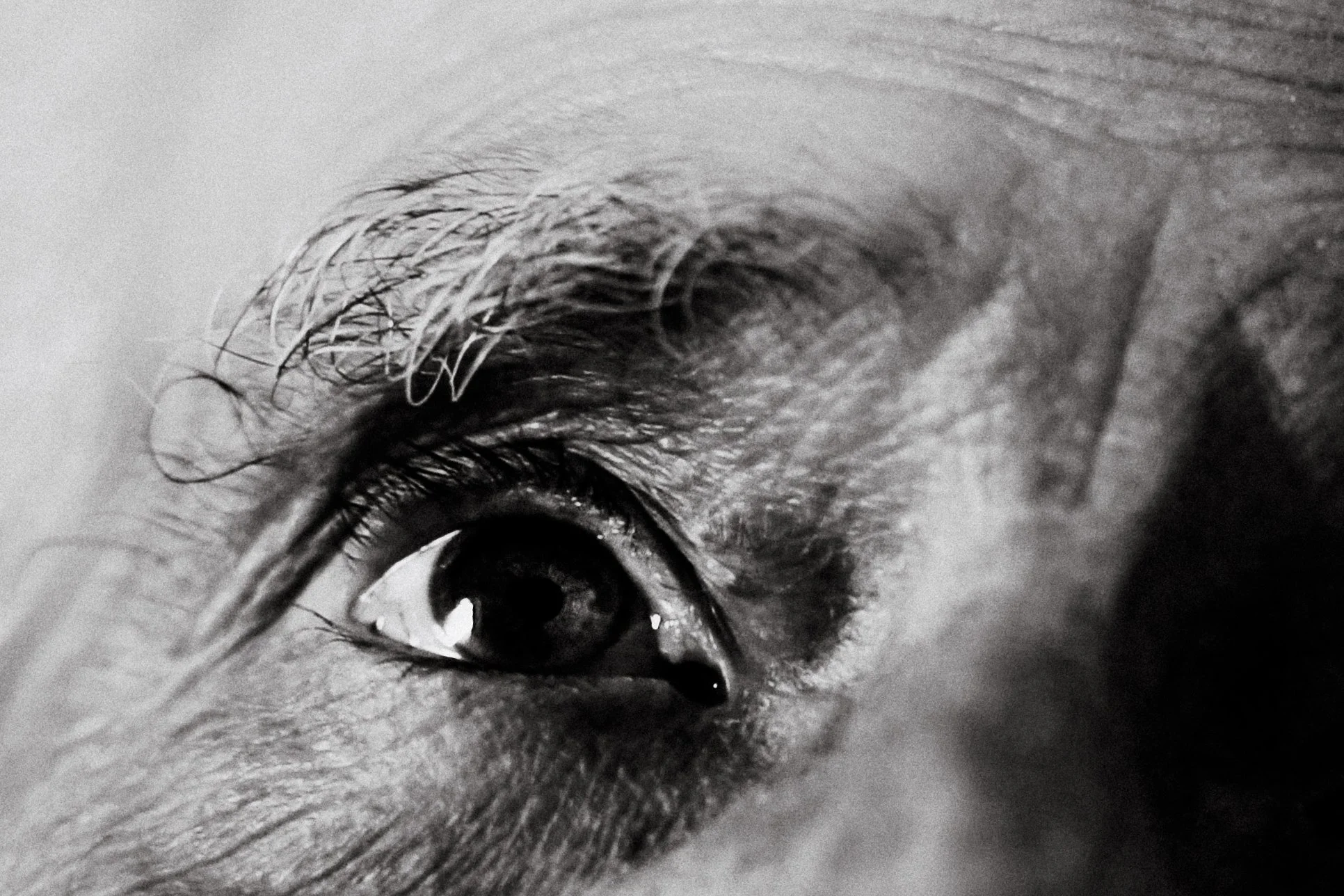 Abuelo ojos.jpg