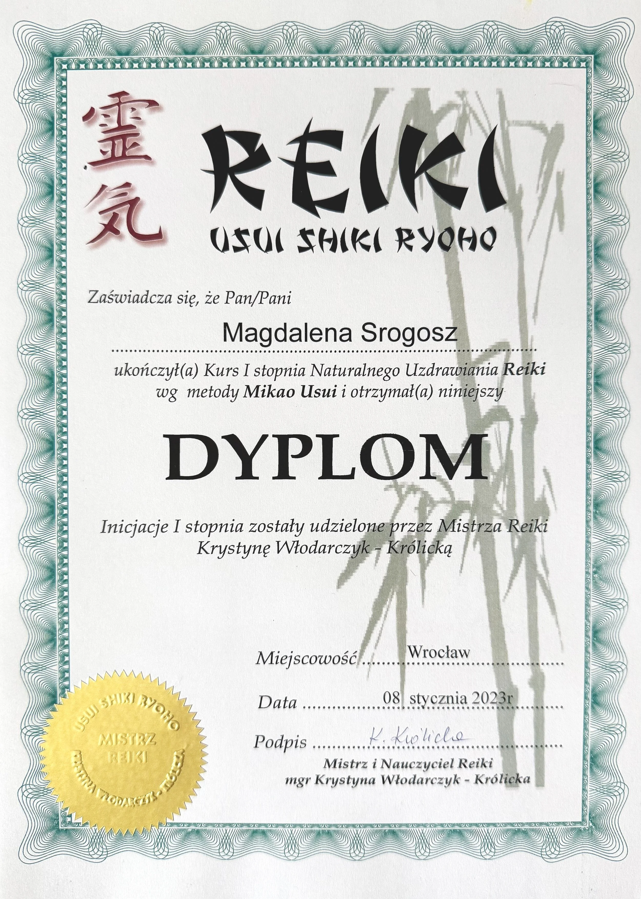 Dyplom reki I stopnia