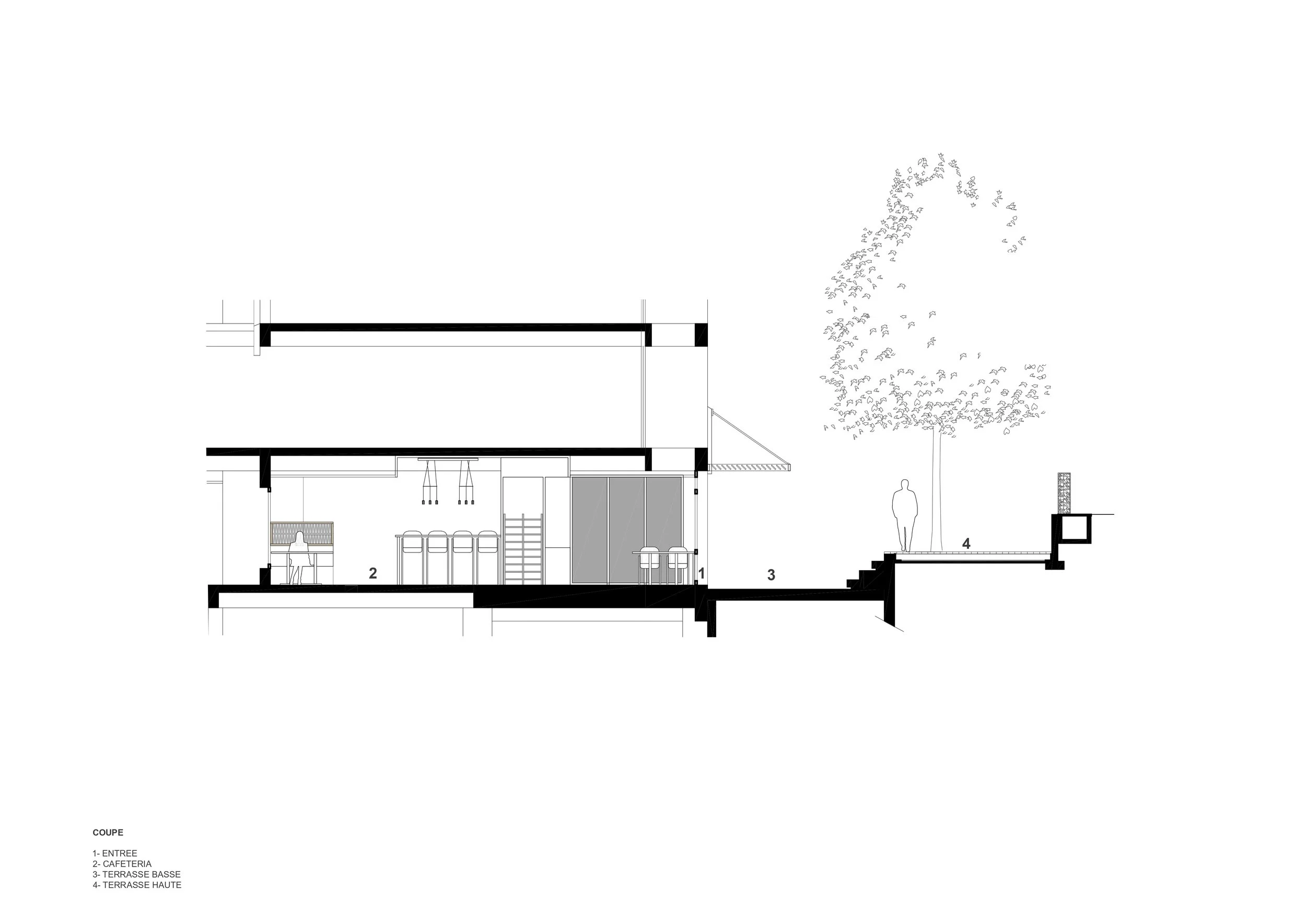 COUPE_page-0001.jpg