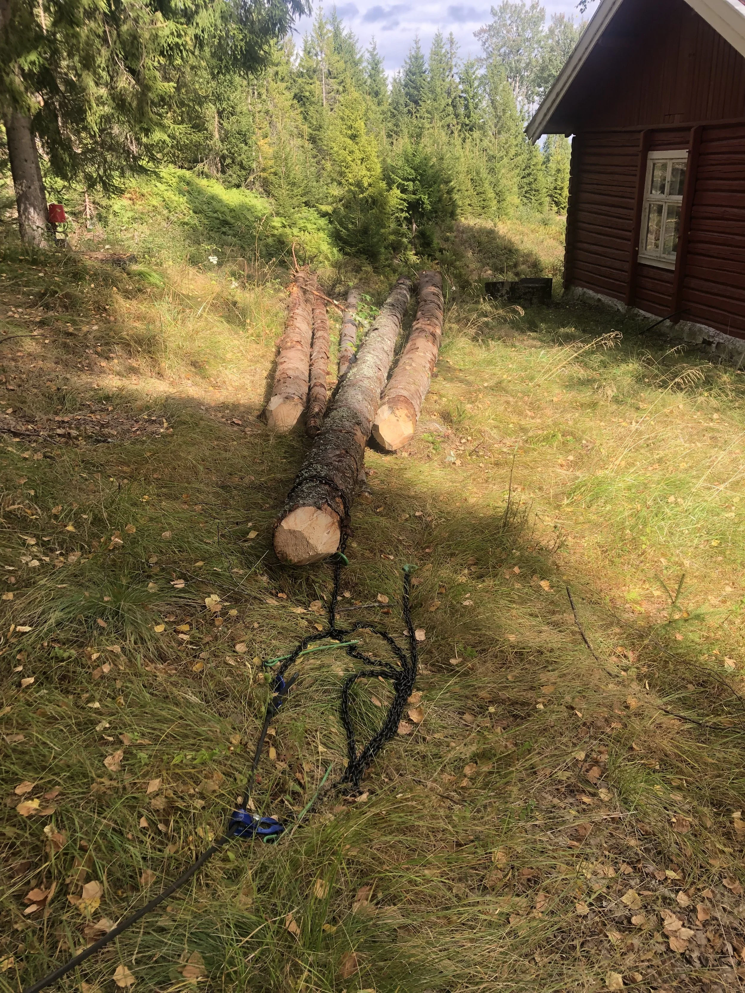 Vinsjing av tømmer