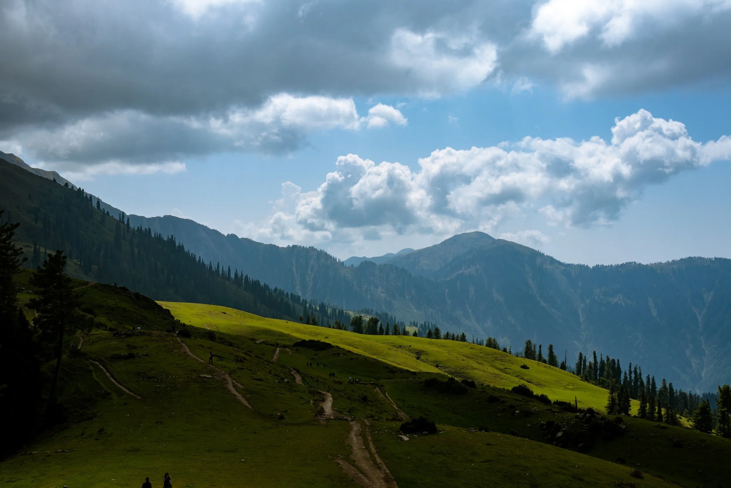 Meadows of Pakistan: Nature's Serene Escapes