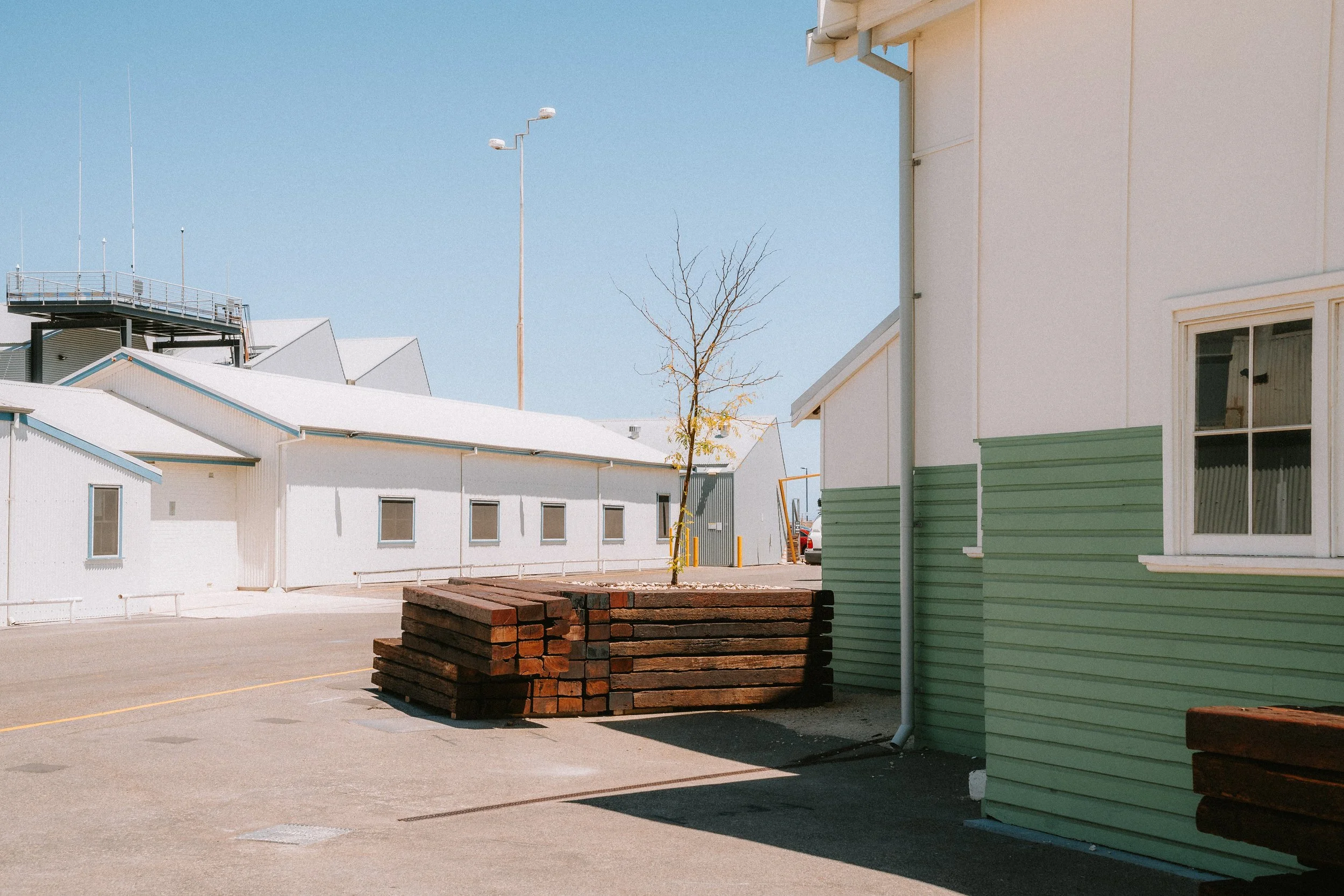 A small leafless tree is planted in a raised bed made of stacked wooden planks in an outdoor area with white buildings, a parking lot, a streetlamp, and a clear blue sky.