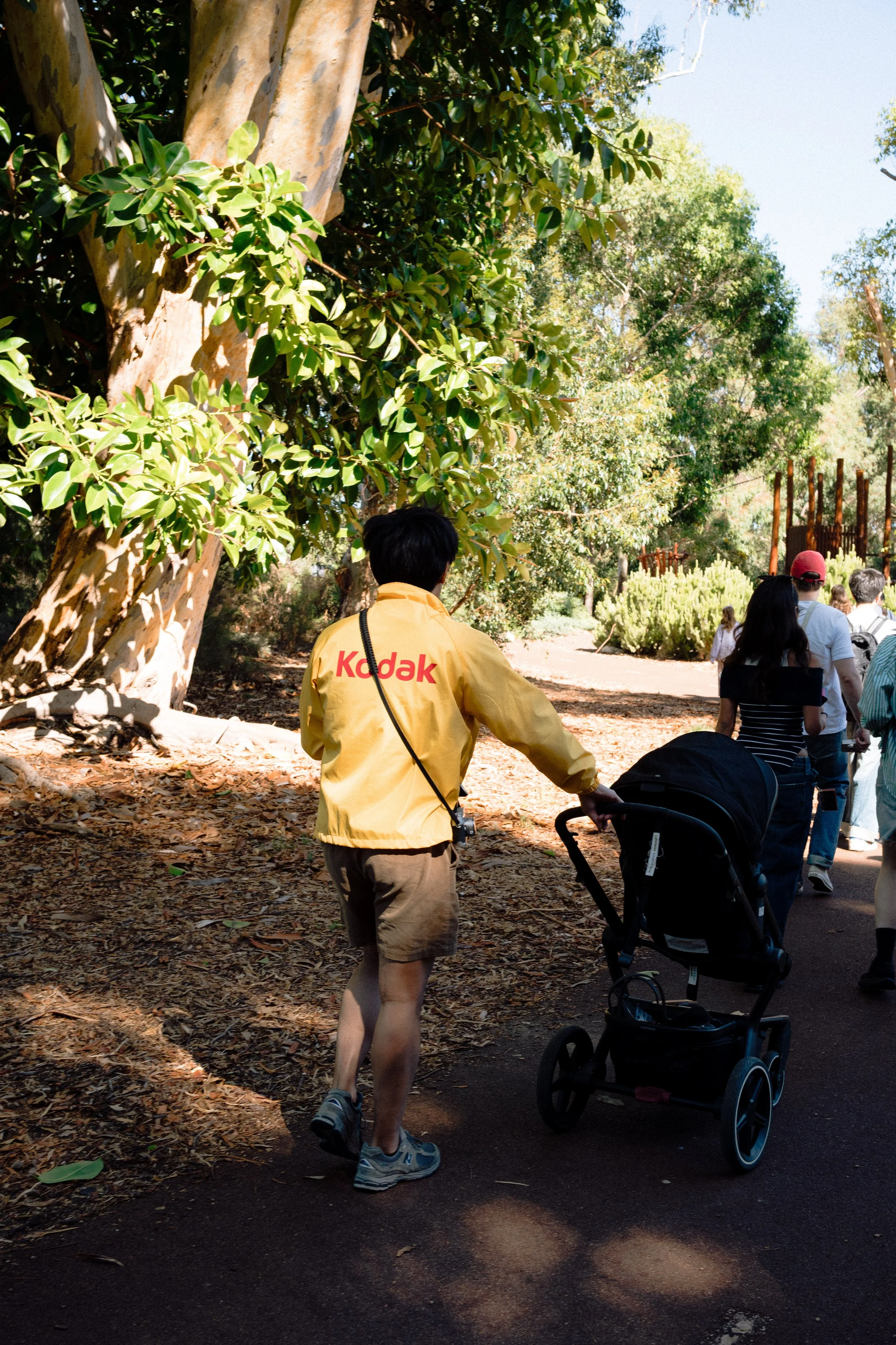 26.03.01 - Irohas Walk-9.jpg