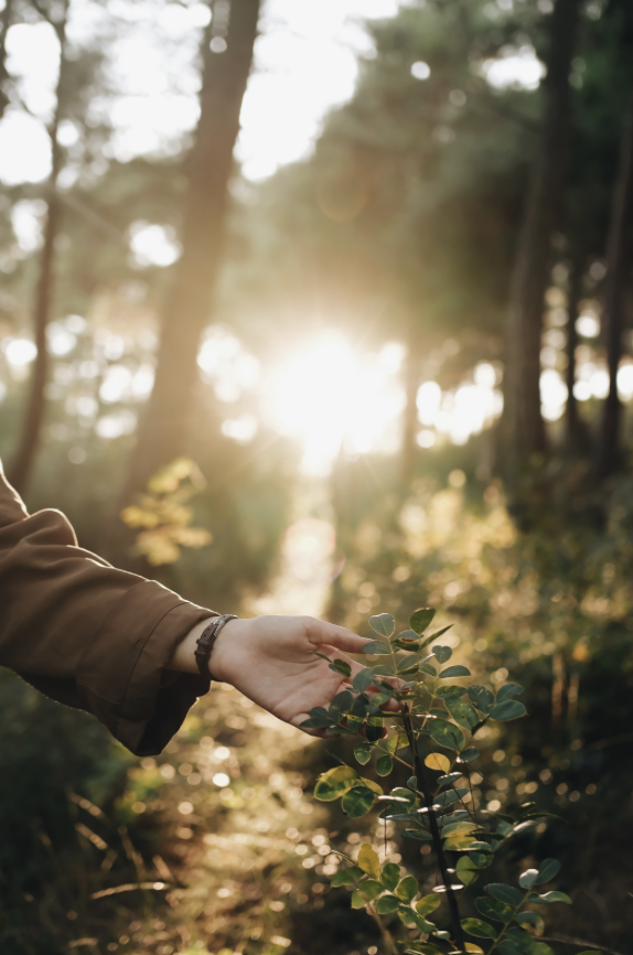 We Are Nature: A Special Forest Therapy Experience for Body Acceptance