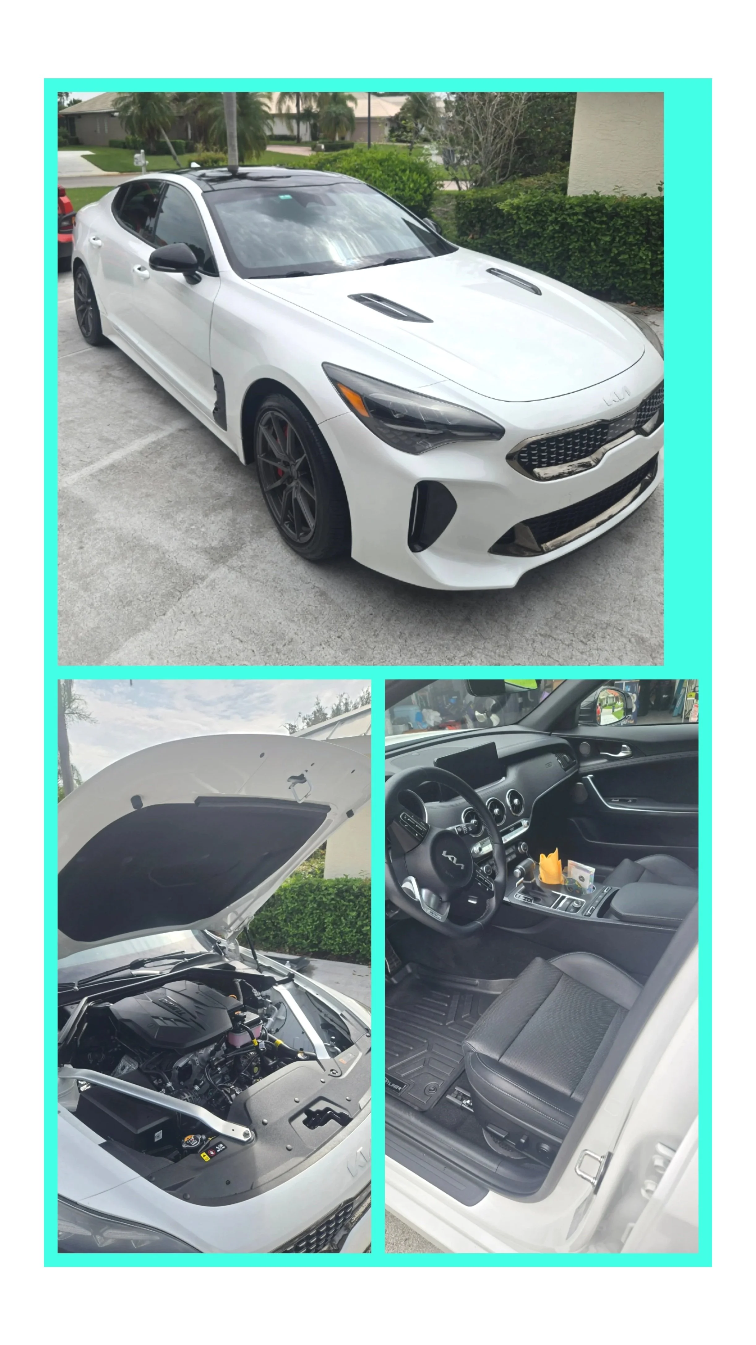 White Lamborghini getting a platinum detail.