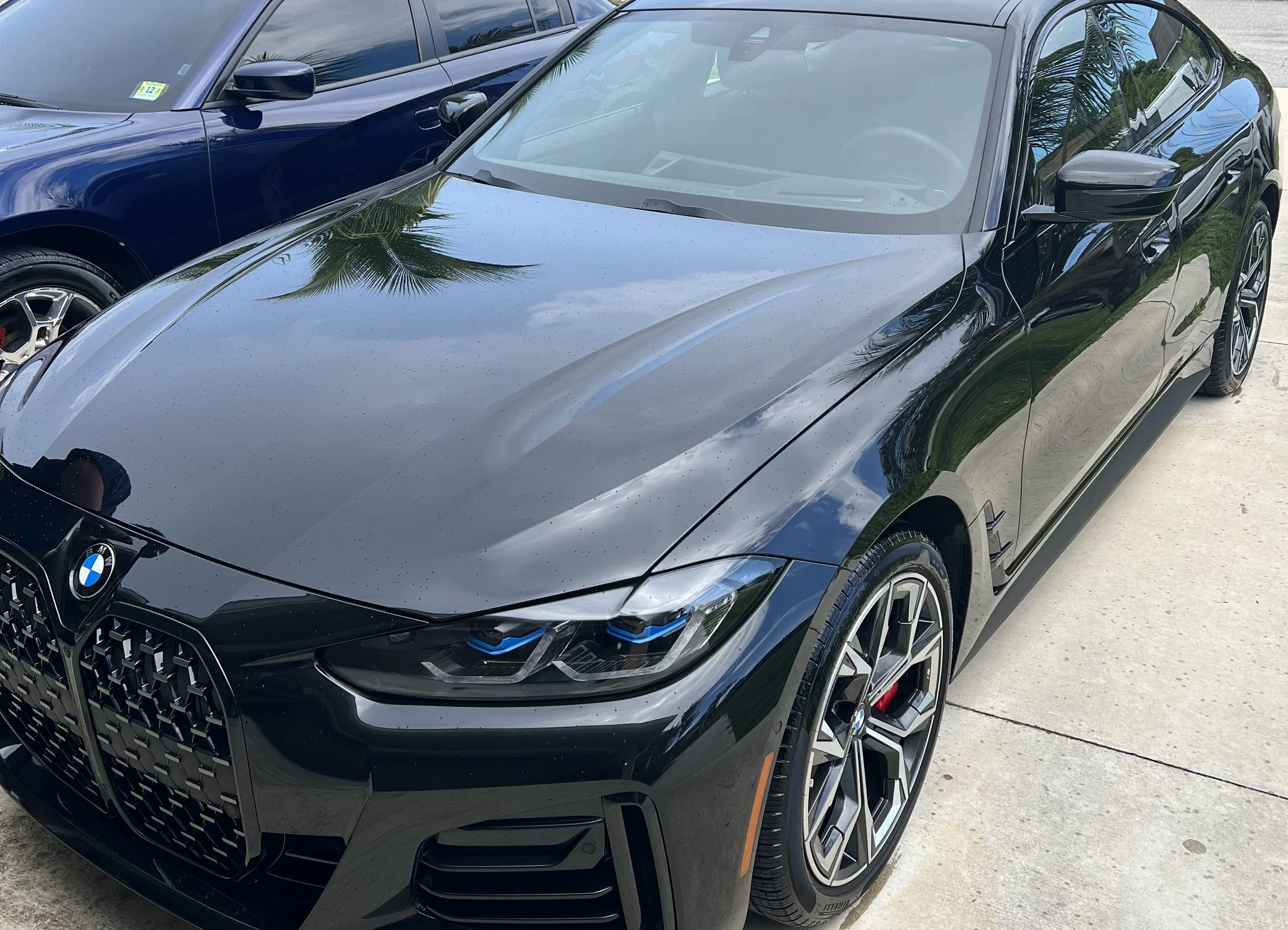 Black BMW car parked outdoors on a concrete surface with reflections of palm trees and a building in its shiny surface.