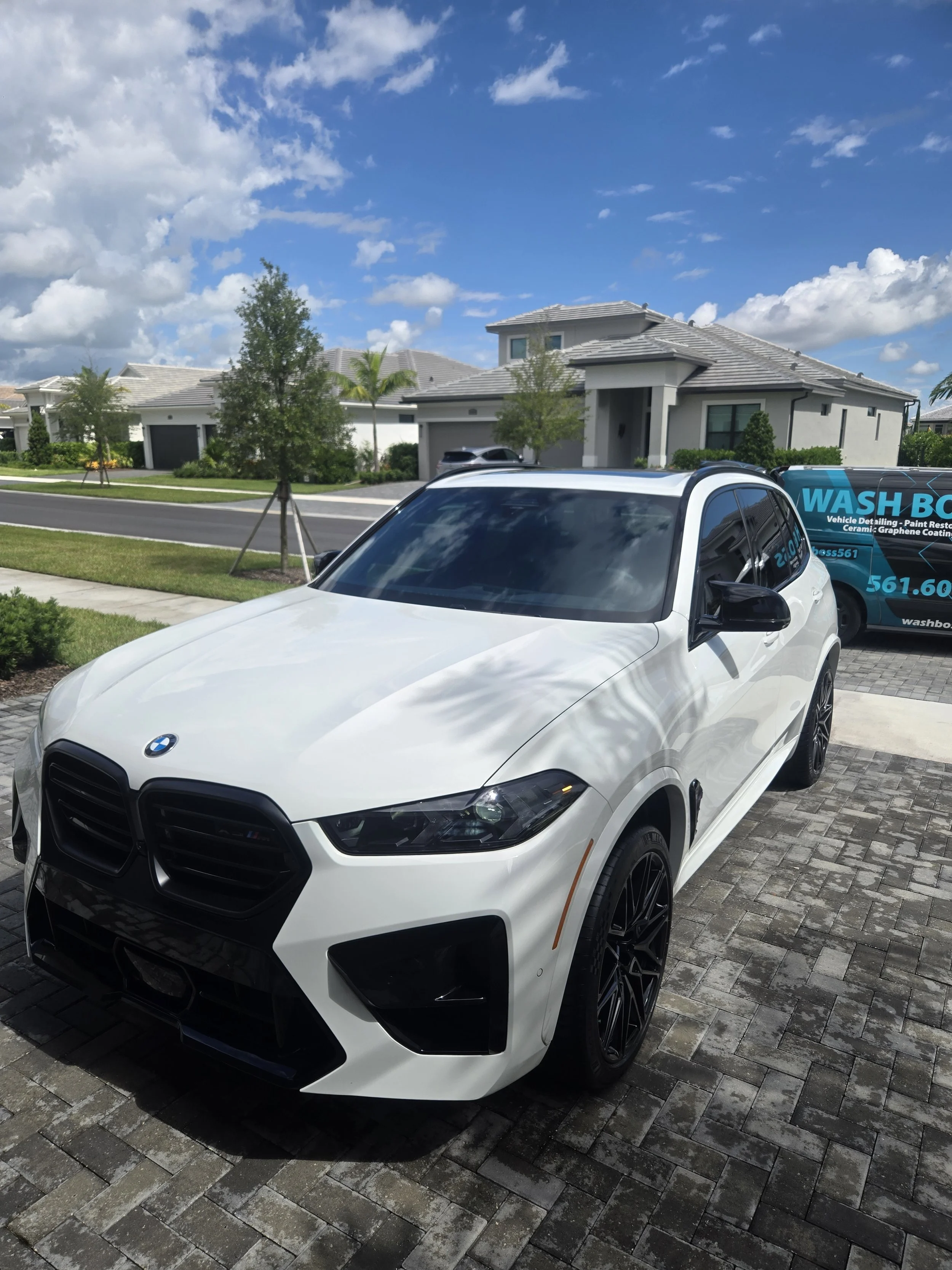 Platinum detail on white BMW