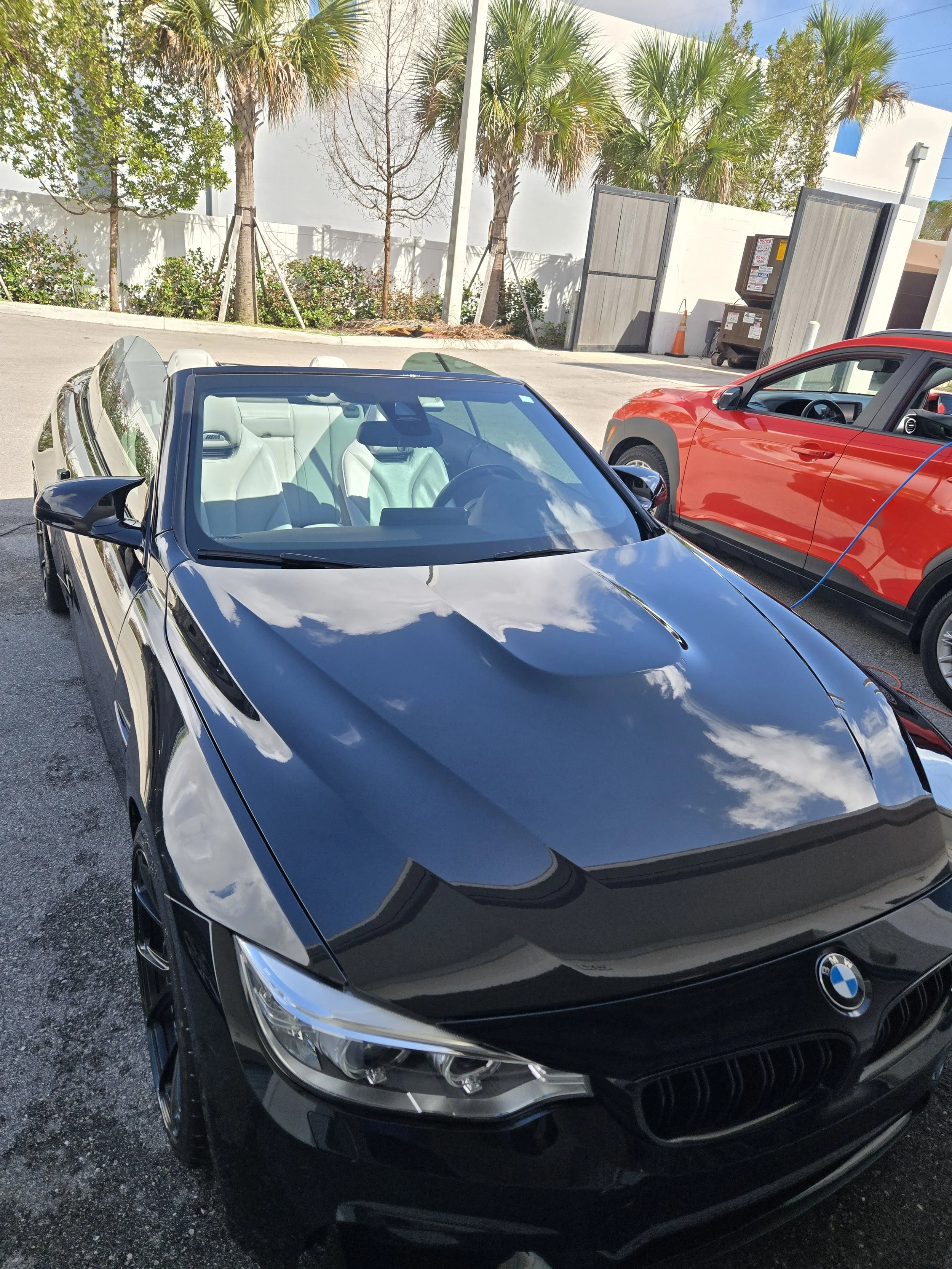 A black BMW convertible car parked beside a red car outdoors on a pavement with palm trees and a white wall in the background.