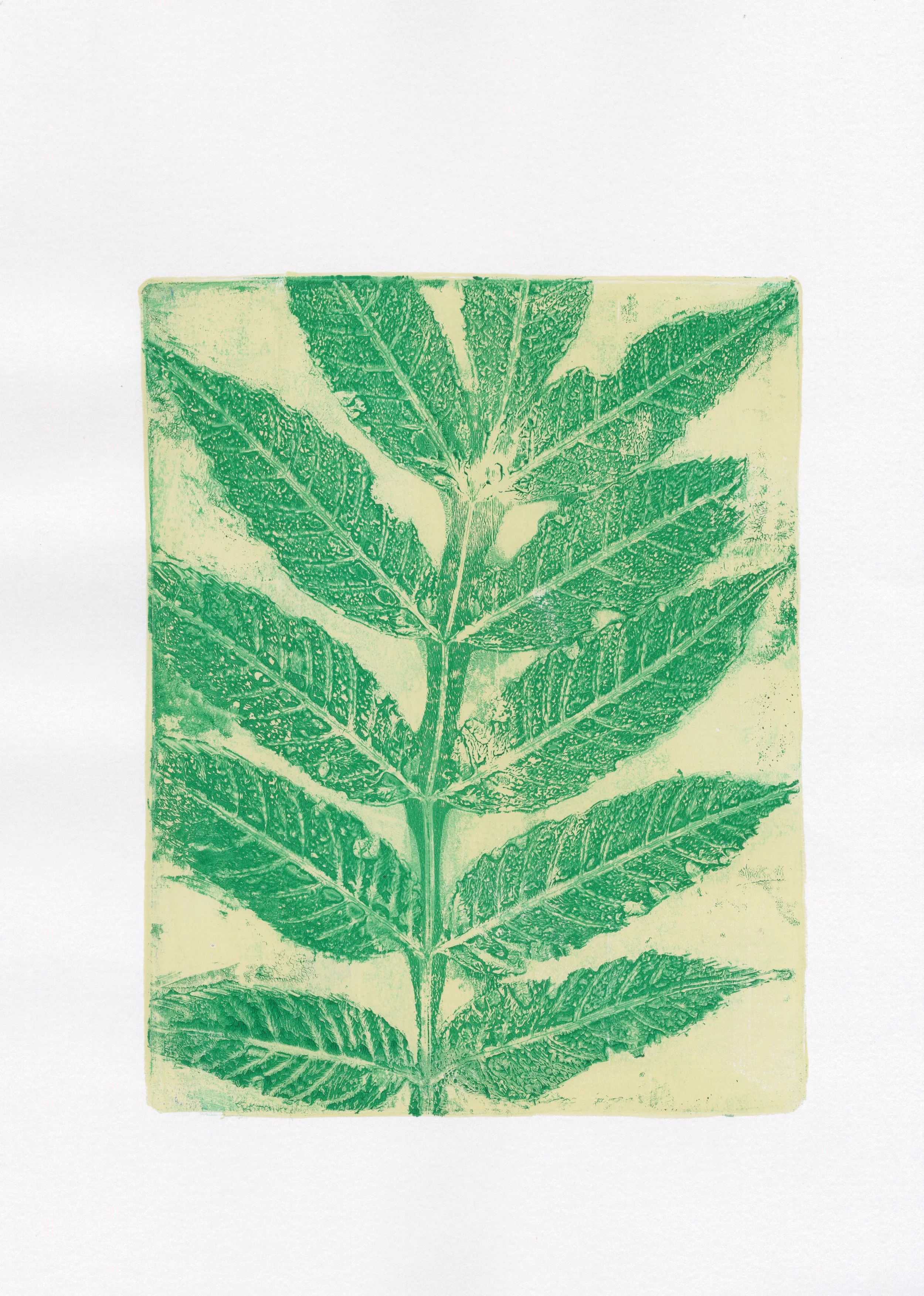 Plant Monotype