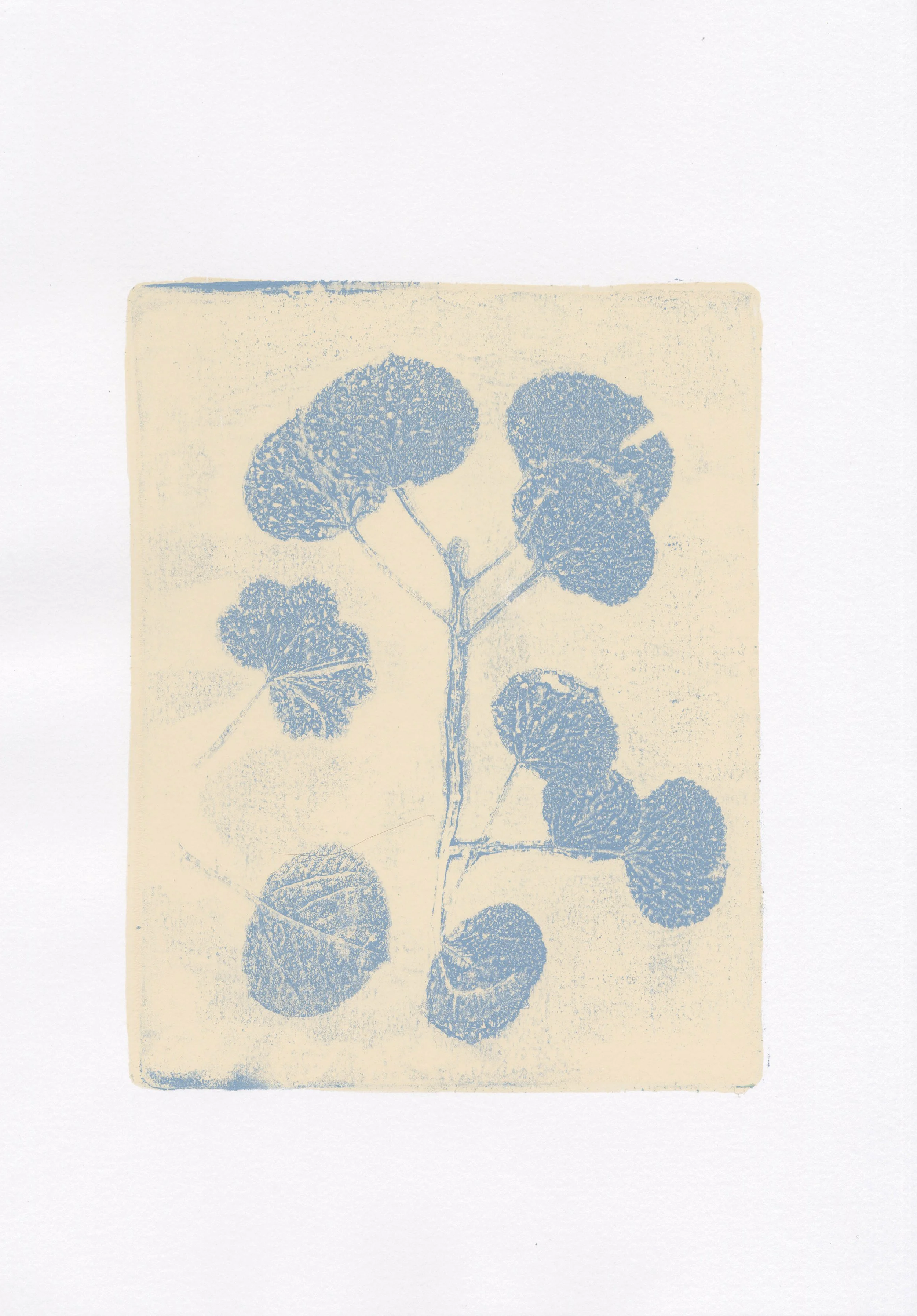 Plant Monotype