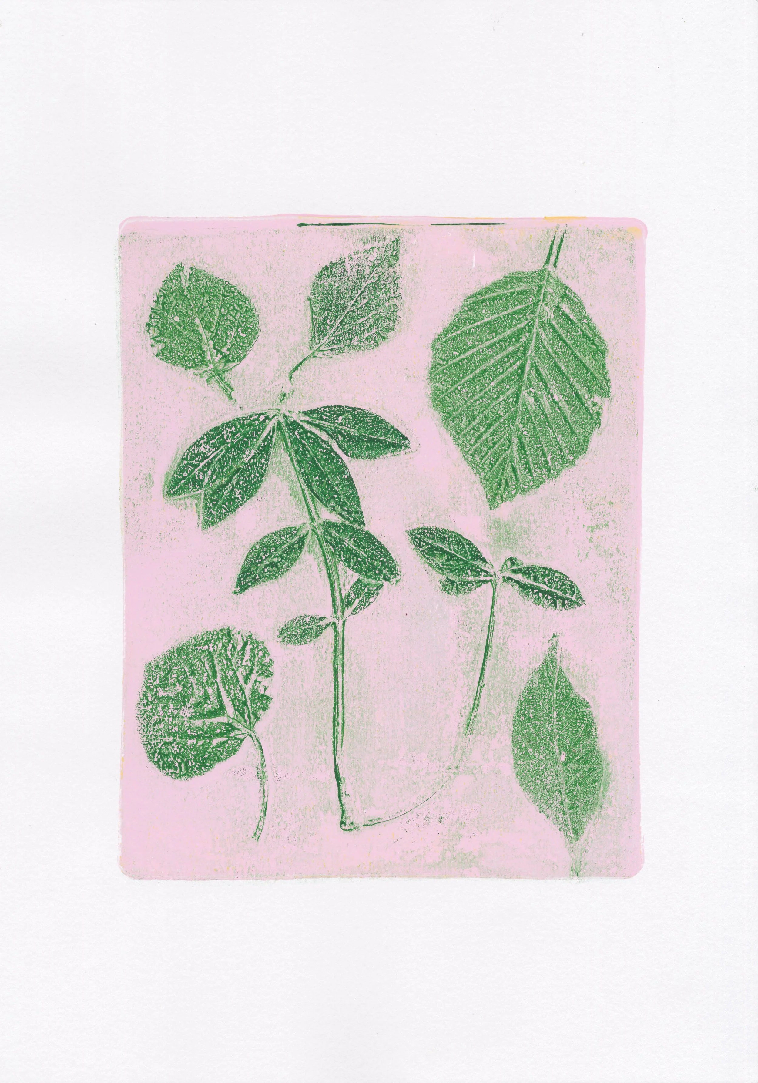 Plant Monotype