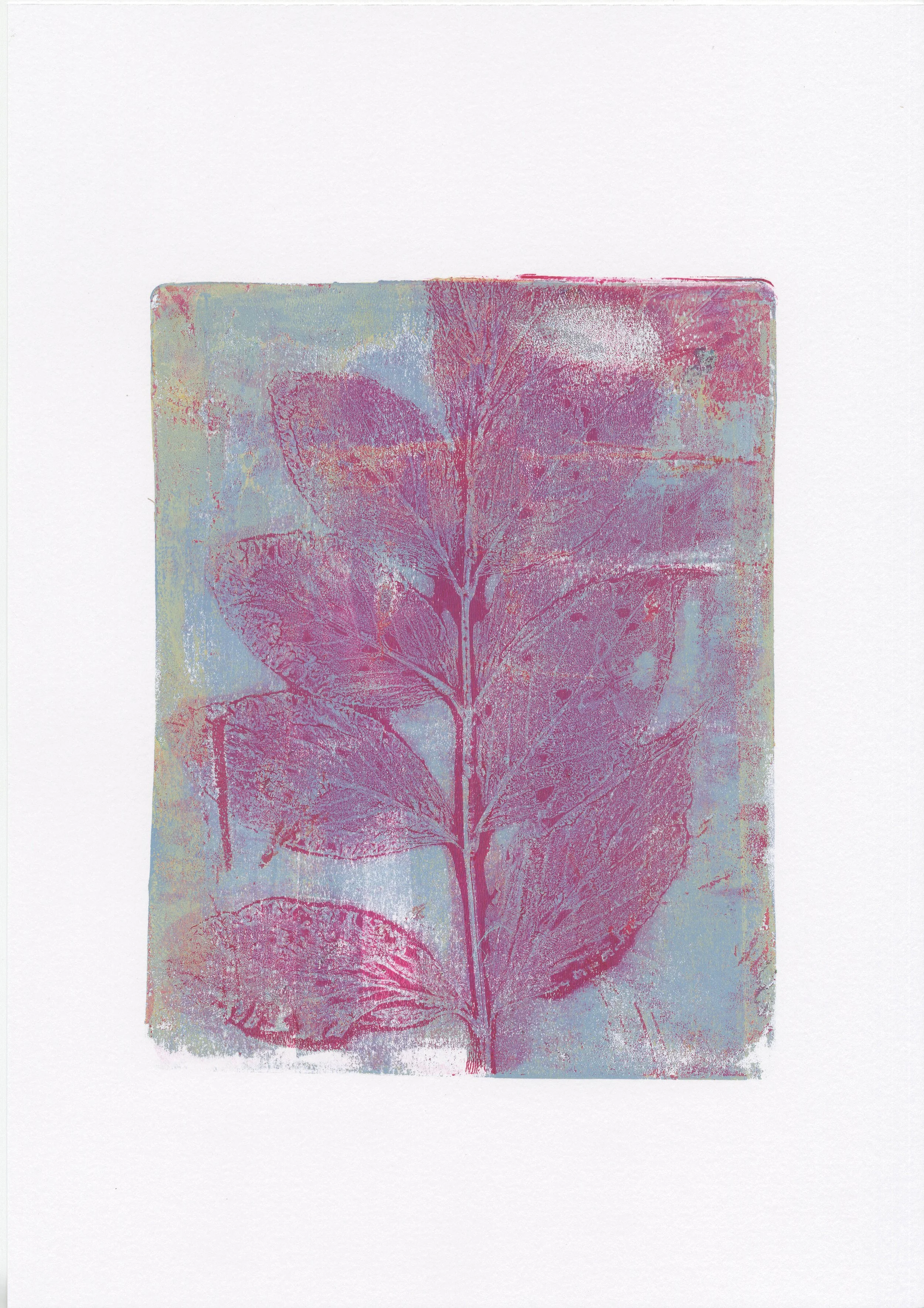 Monotype