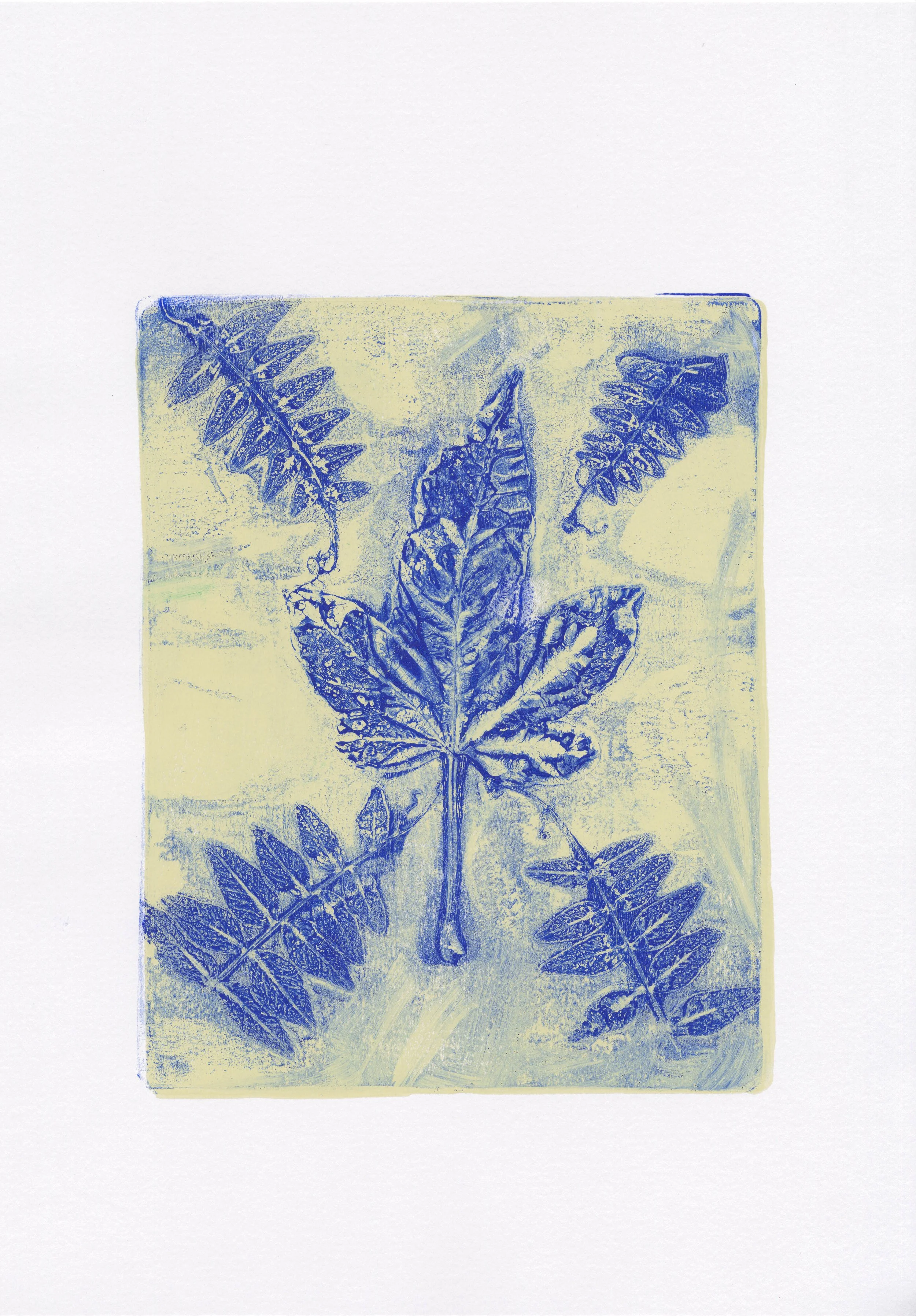 Plant Monotype