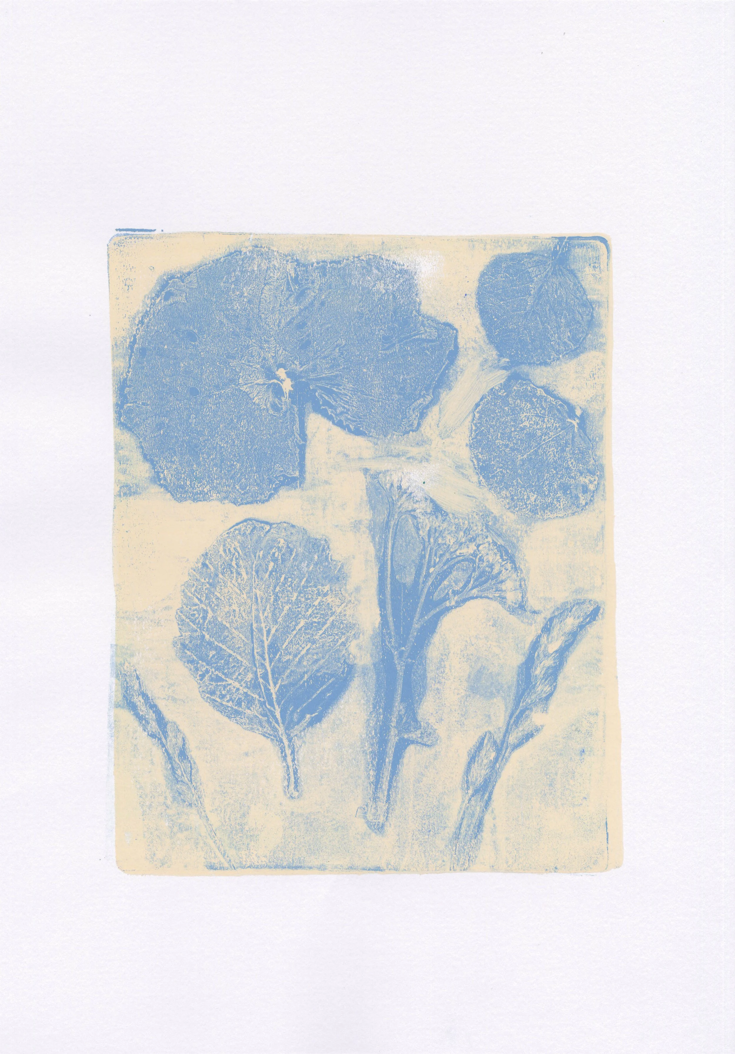 Plant Monotype