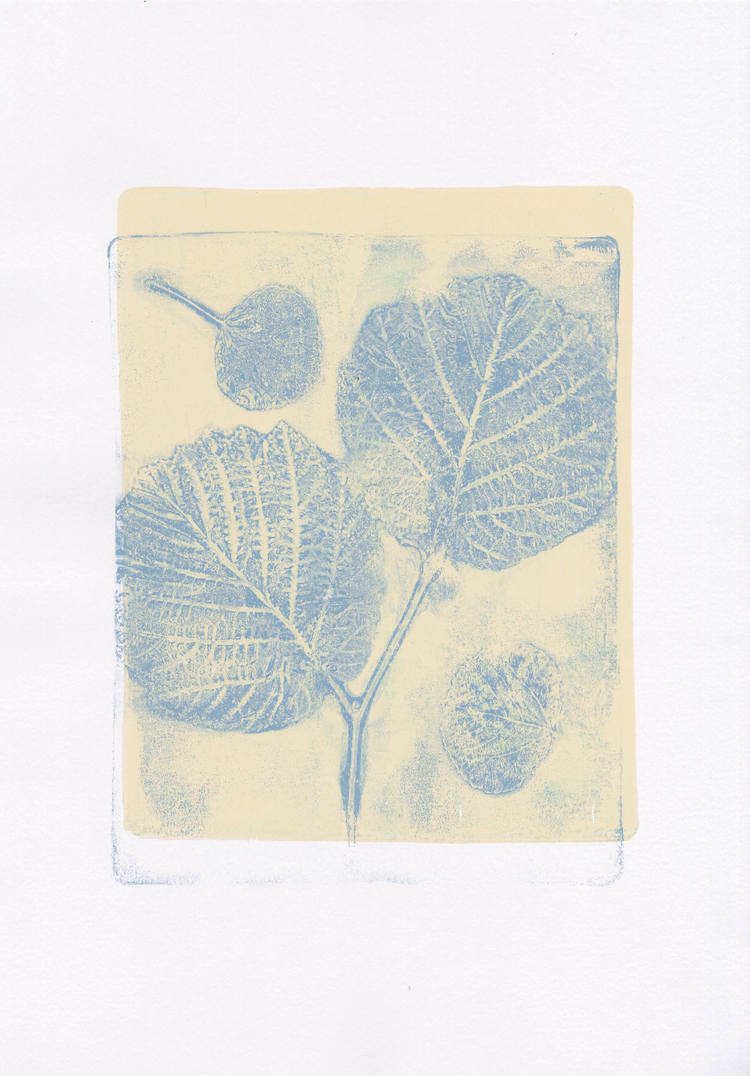 Plant Monotype
