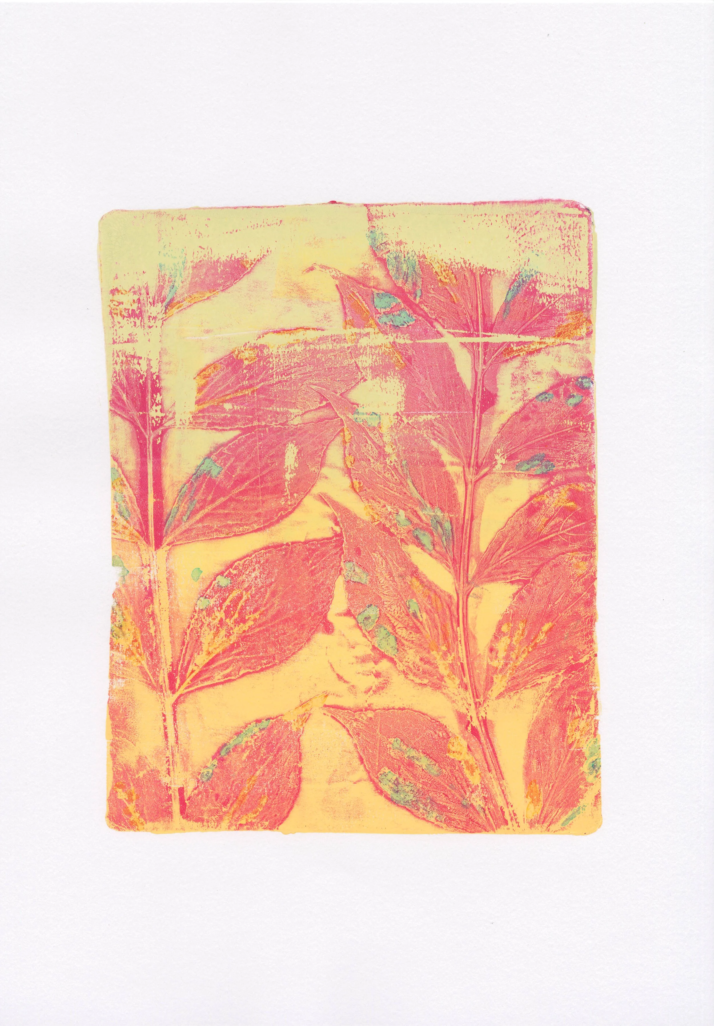 Plant Monotype