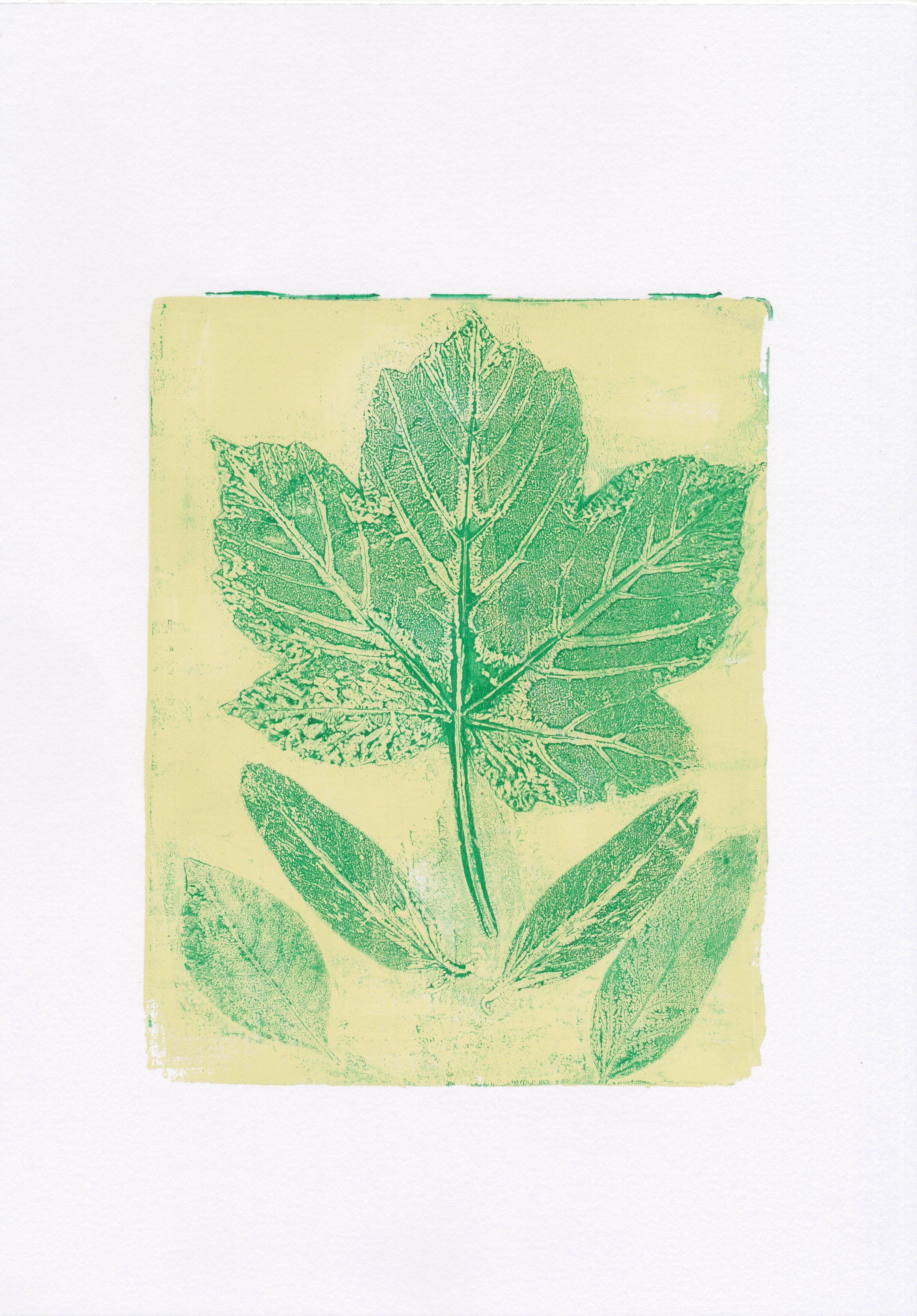 Plant Monotype