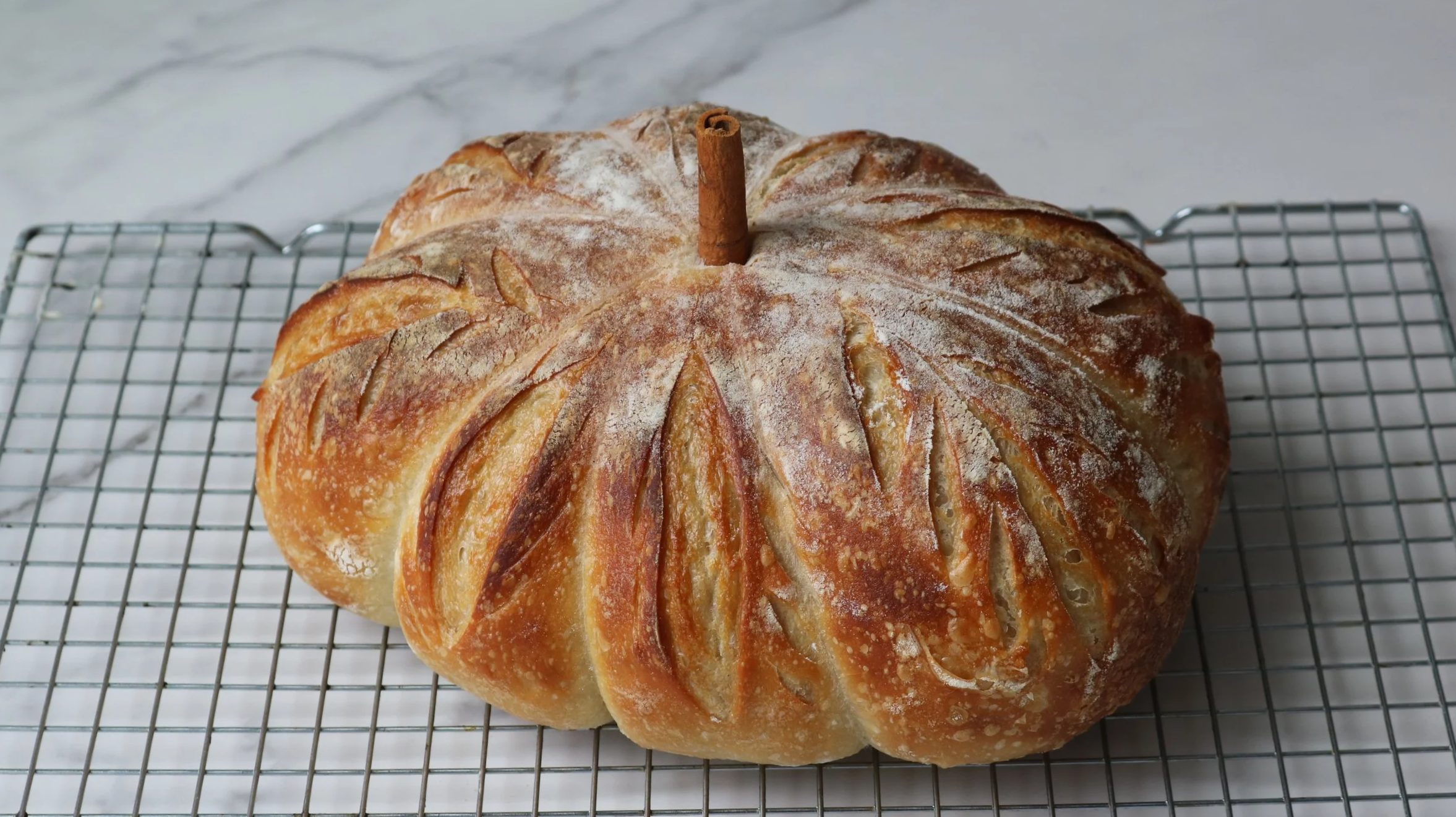 Classic Sourdough (pumpkin shaped)